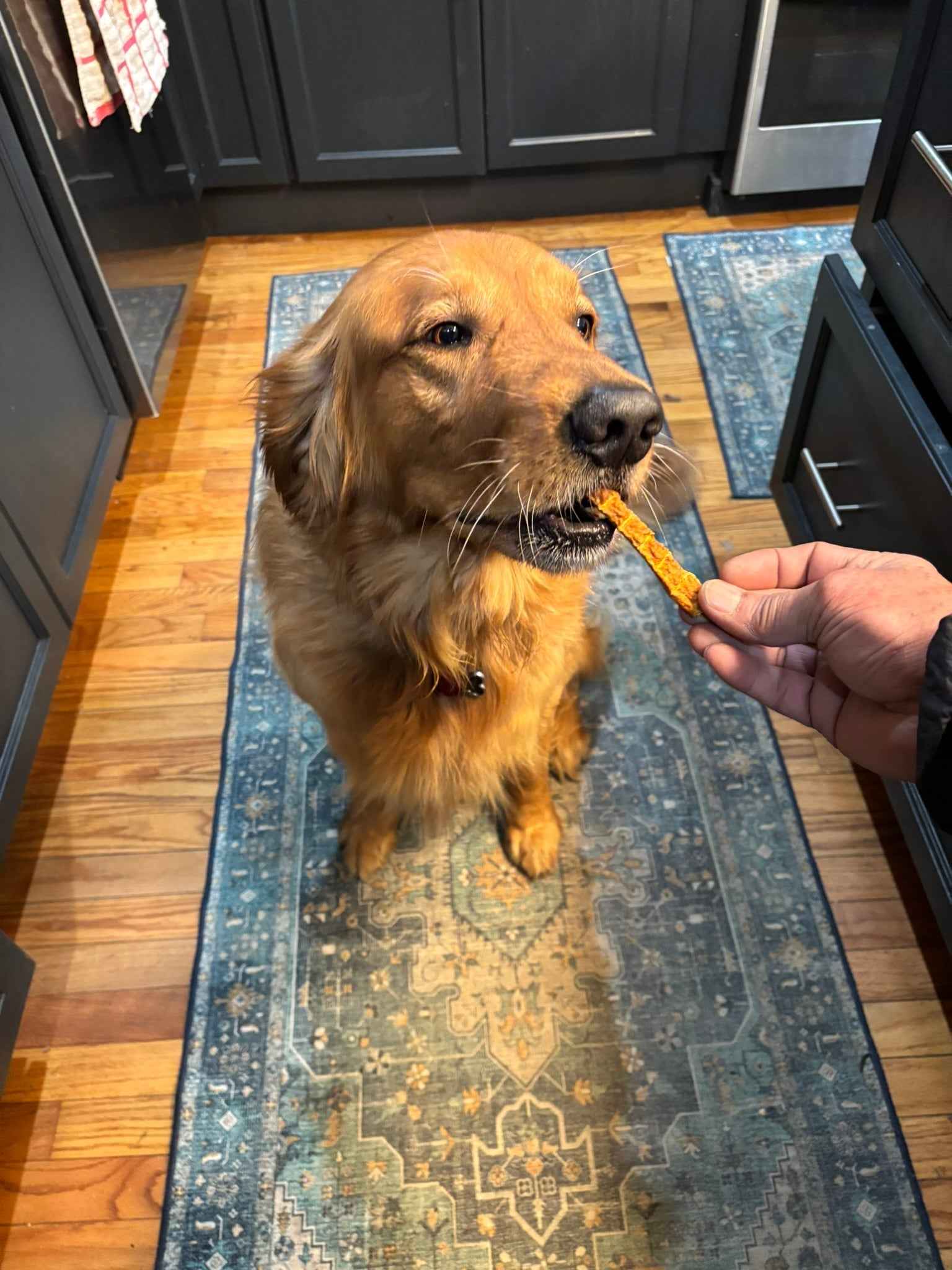 PAWsitively Organic Turkey Pumpkin Dog Jerky