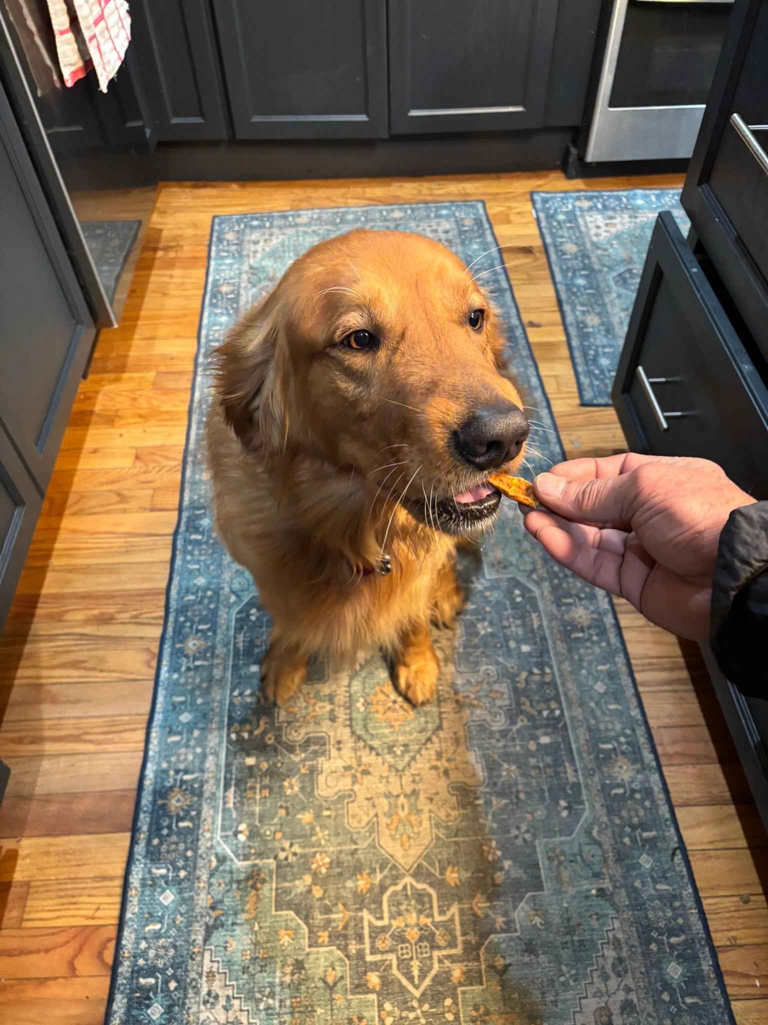 PAWsitively Organic Turkey Pumpkin Dog Jerky