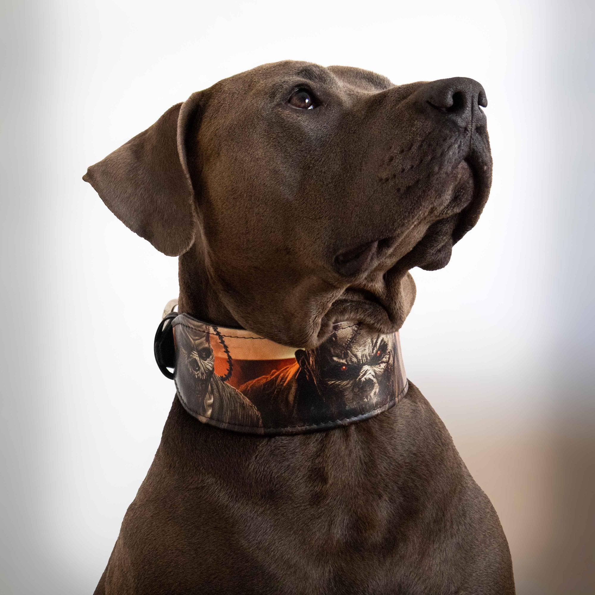 Bestia Scare Limited Edition Leather Dog Collar