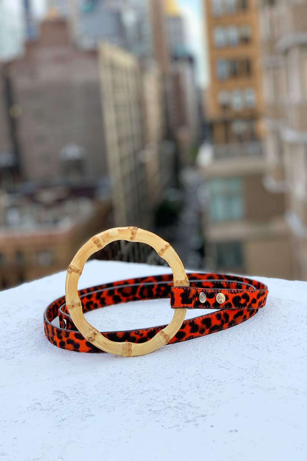 Sasha Leash - Red Leopard | HT Animal Supply