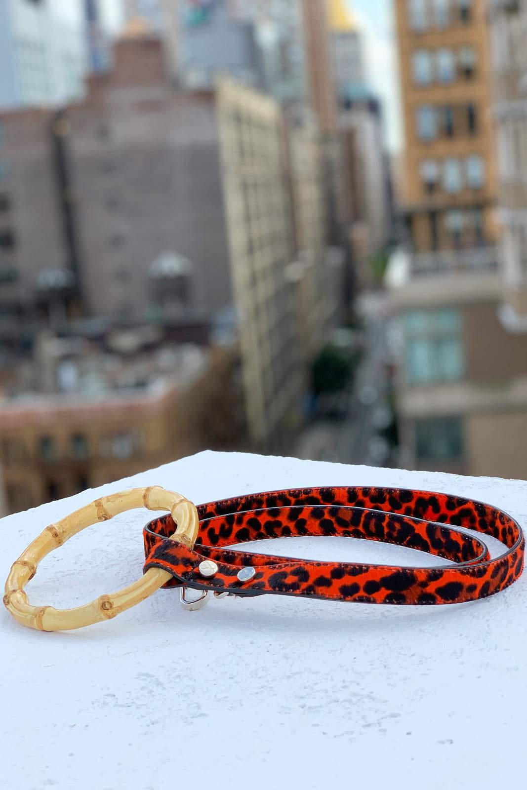 Sasha Leash - Red Leopard 