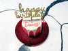 Organic Dog Birthday Gotcha Cake