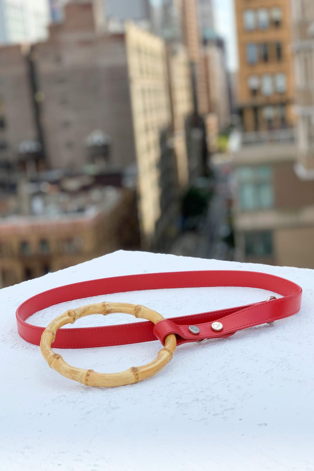 Sasha Leash - Ruby