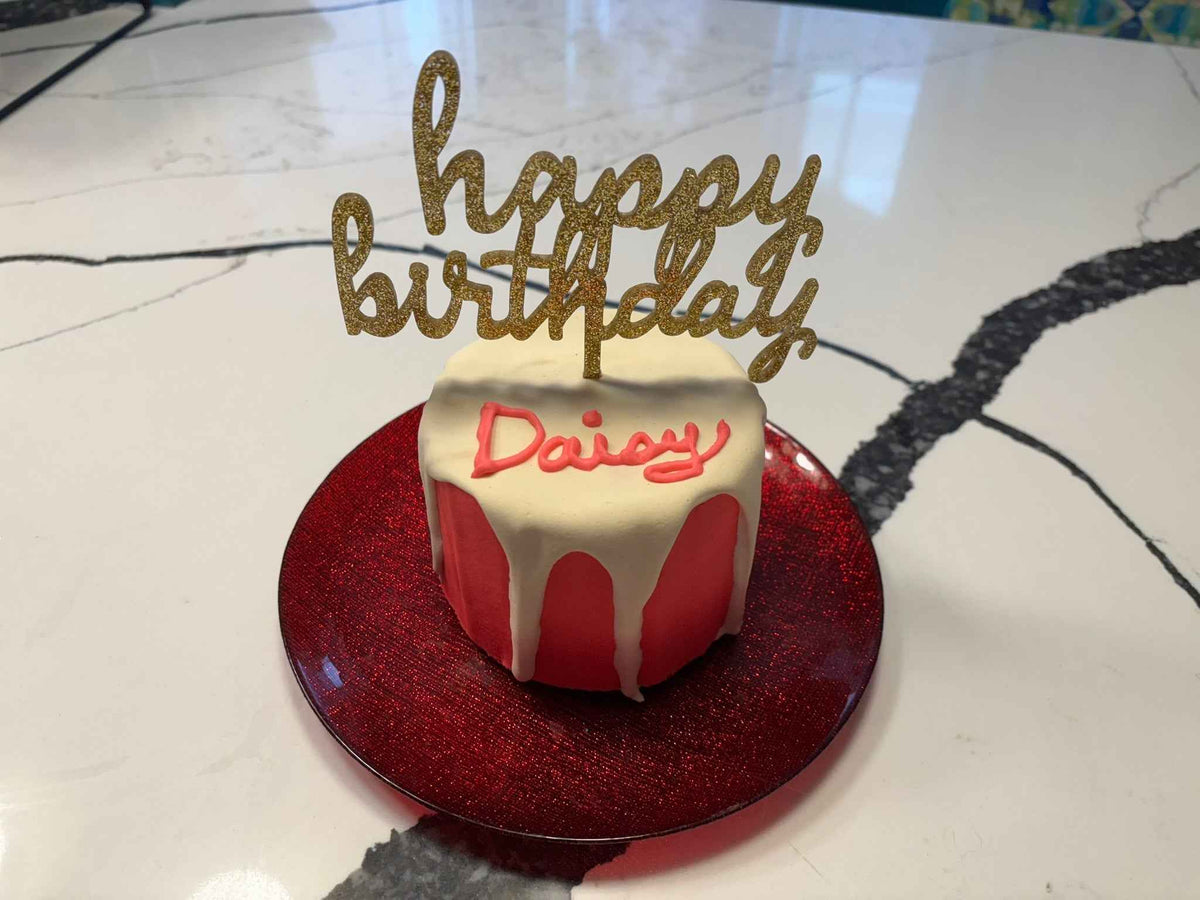 PAWsitively Organic Dog Birthday Gotcha Cake