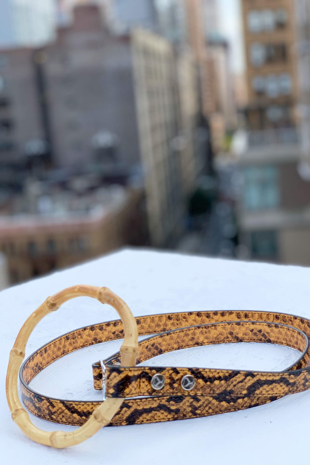 Sasha Leash - Embossed Yellow & Black 
