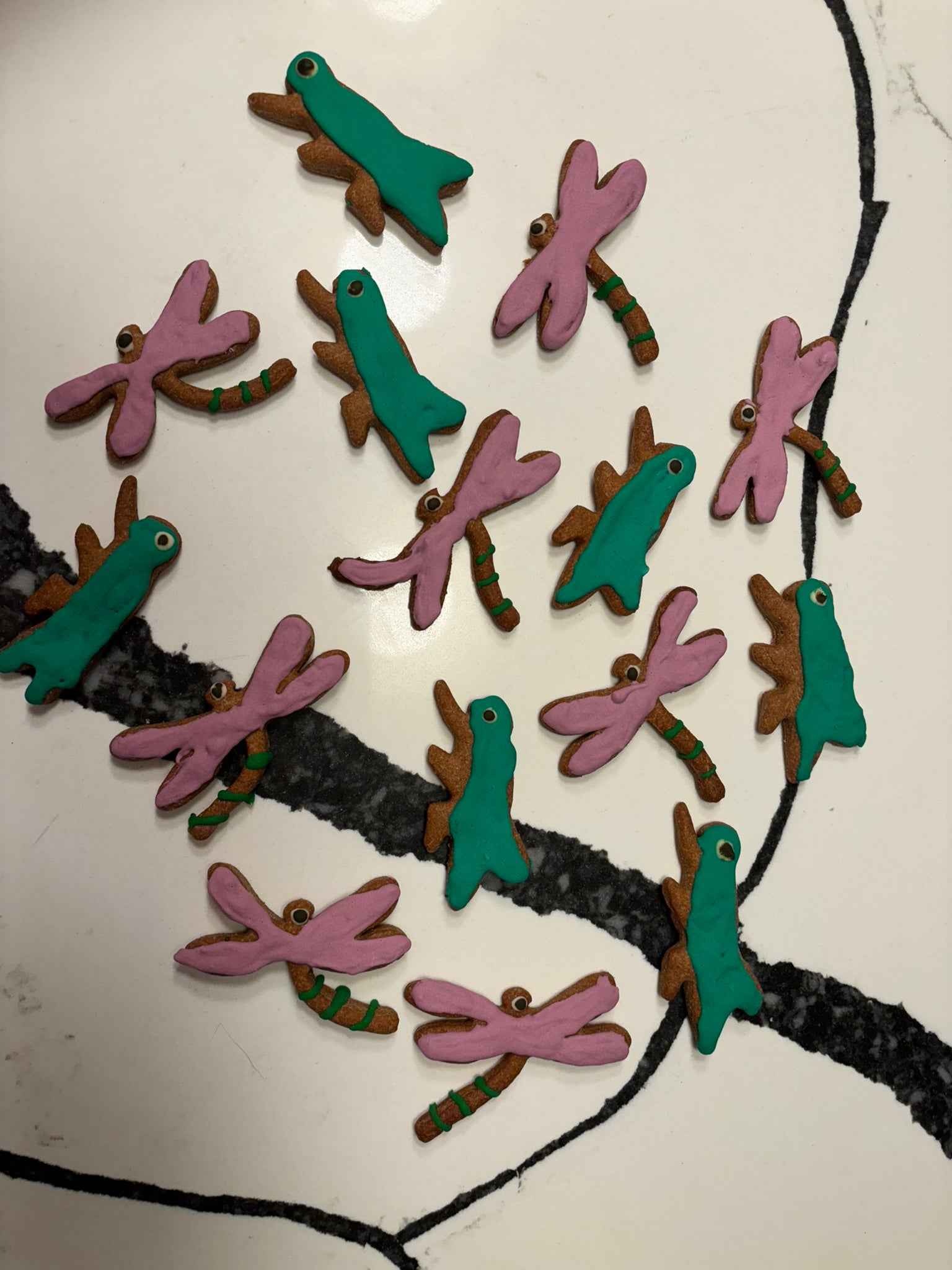 PAWsitively Organic Dragonfly Grasshopper Dog Cookies