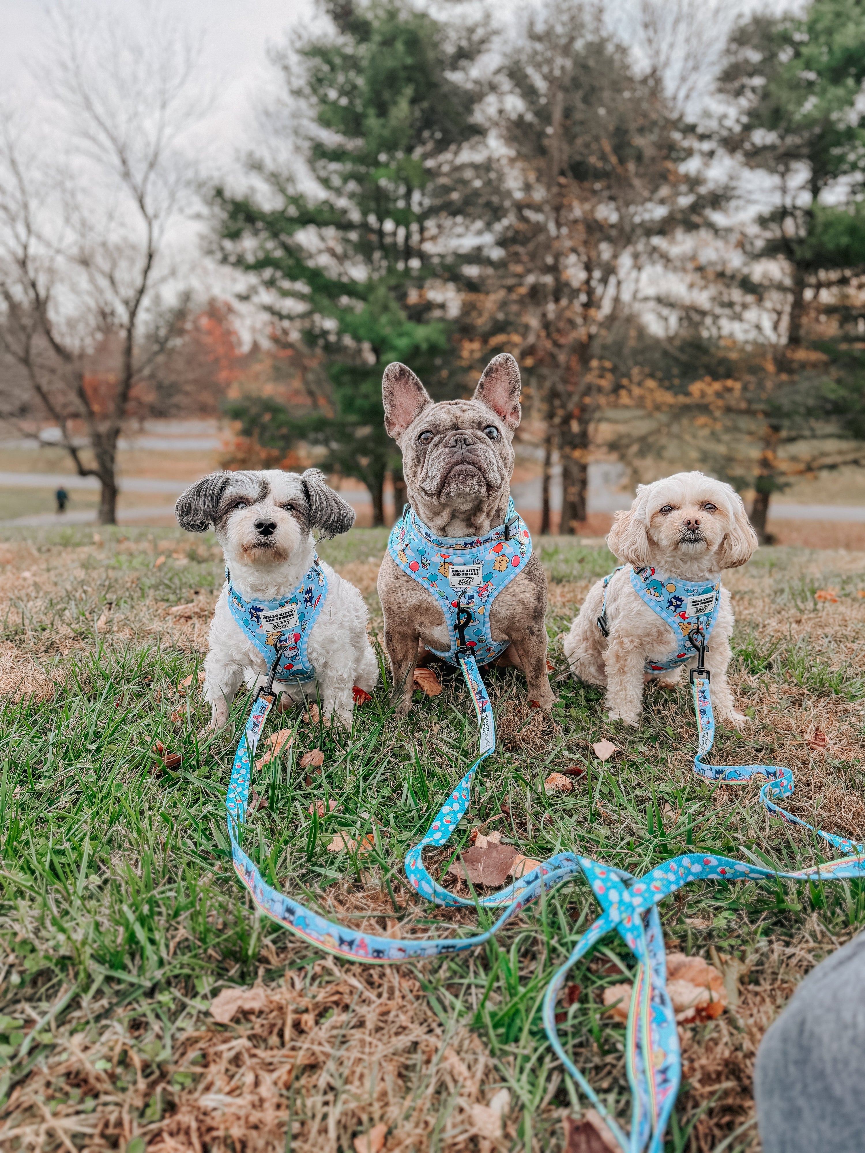 Dog Adjustable Harness - Hello Kitty® & Friends In the Sky