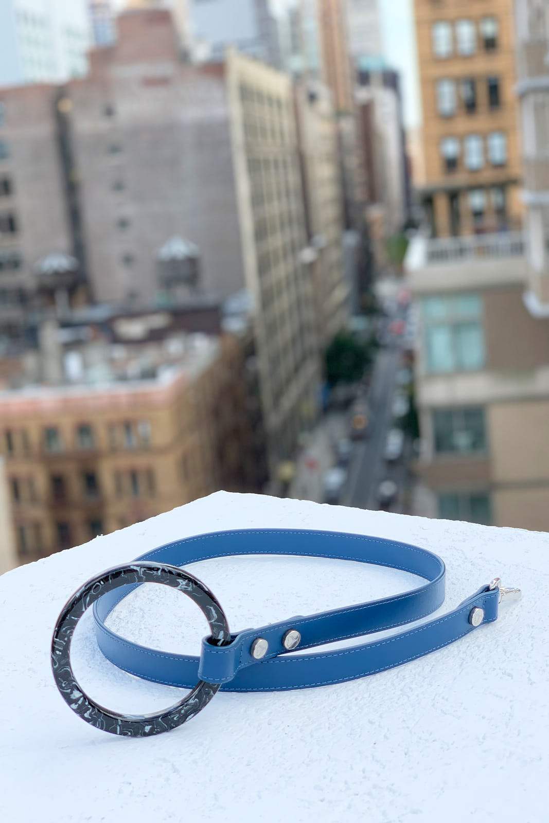 Susan Leash - Cobalt