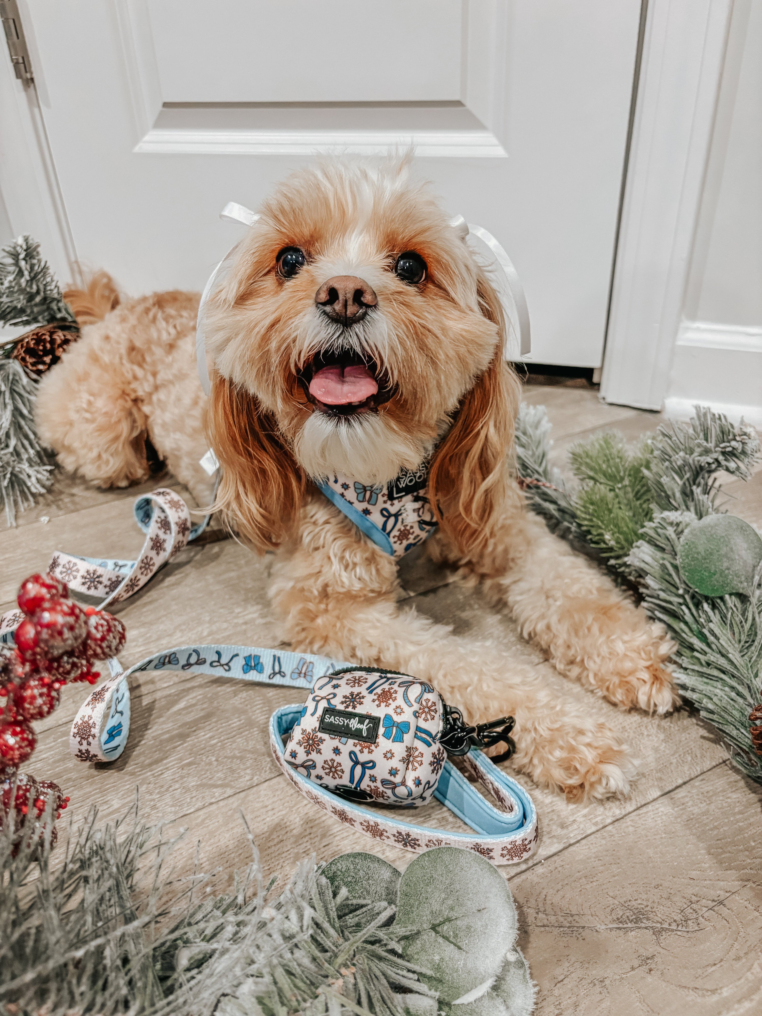 Dog Adjustable Harness - Let it Bow