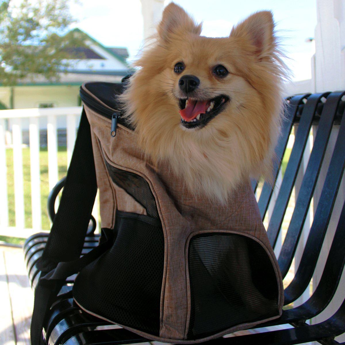 Dogline Pet Carrier Backpack