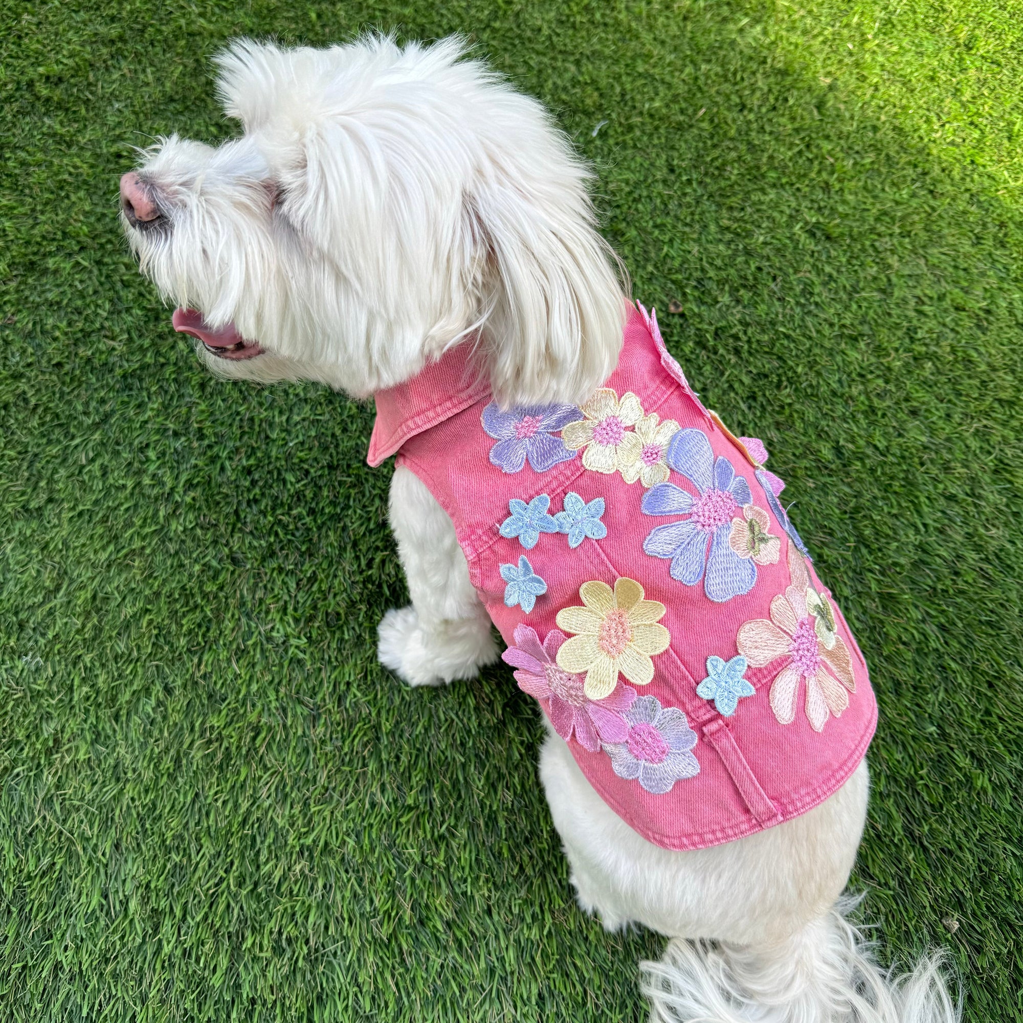 Heads or Tails Pup Flower Girl Denim Dog Vest