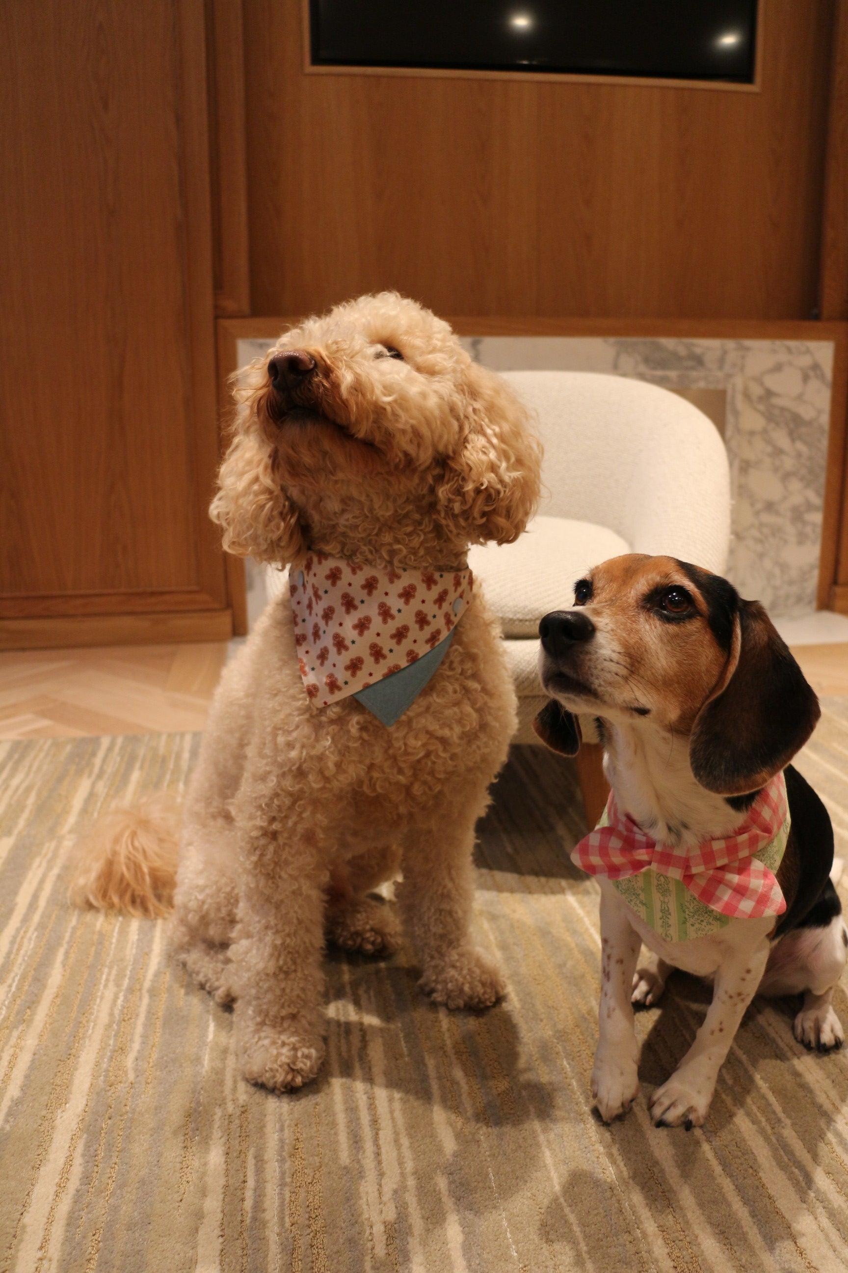 Gingerbread Man Joy Handmade Bandana