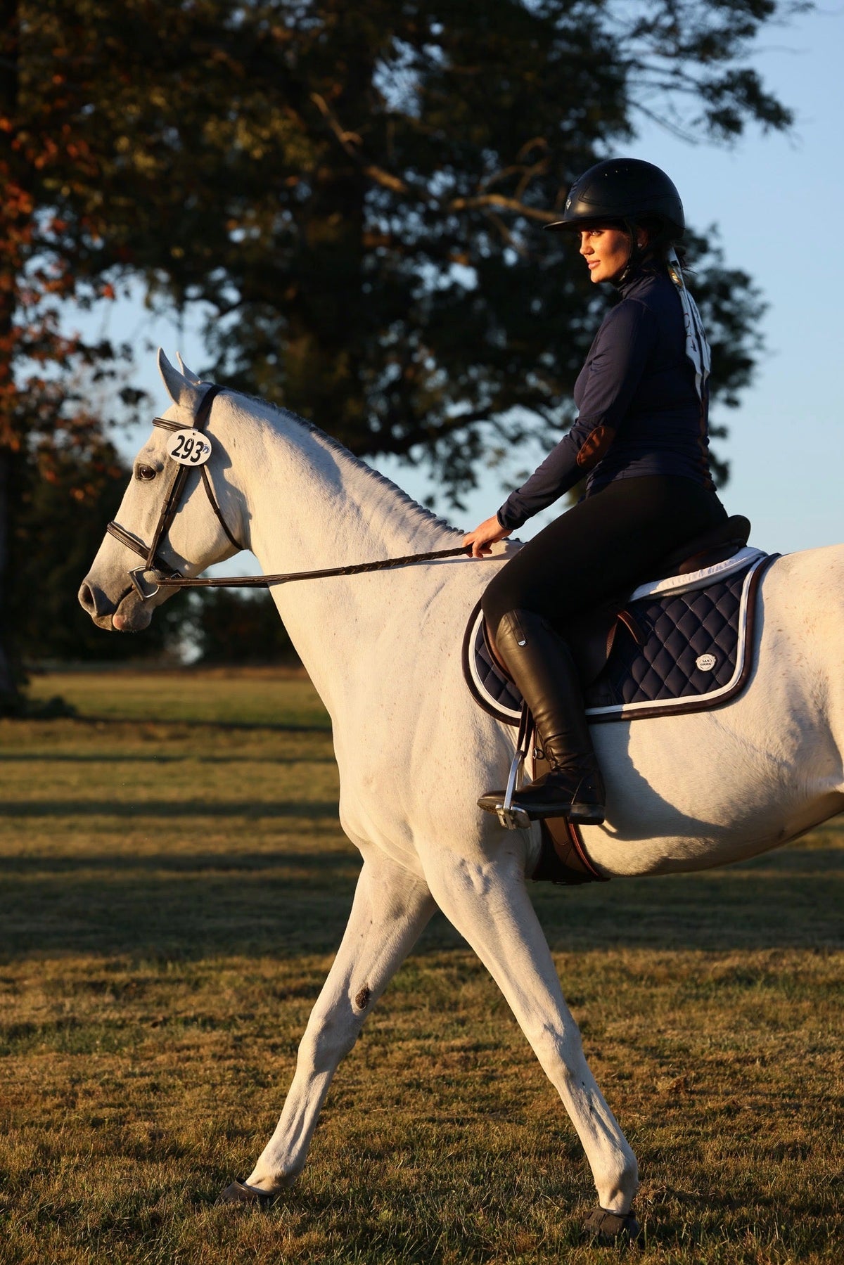San Eligius navy quilted jump saddle pad with white and brown leather piping on horse under saddle