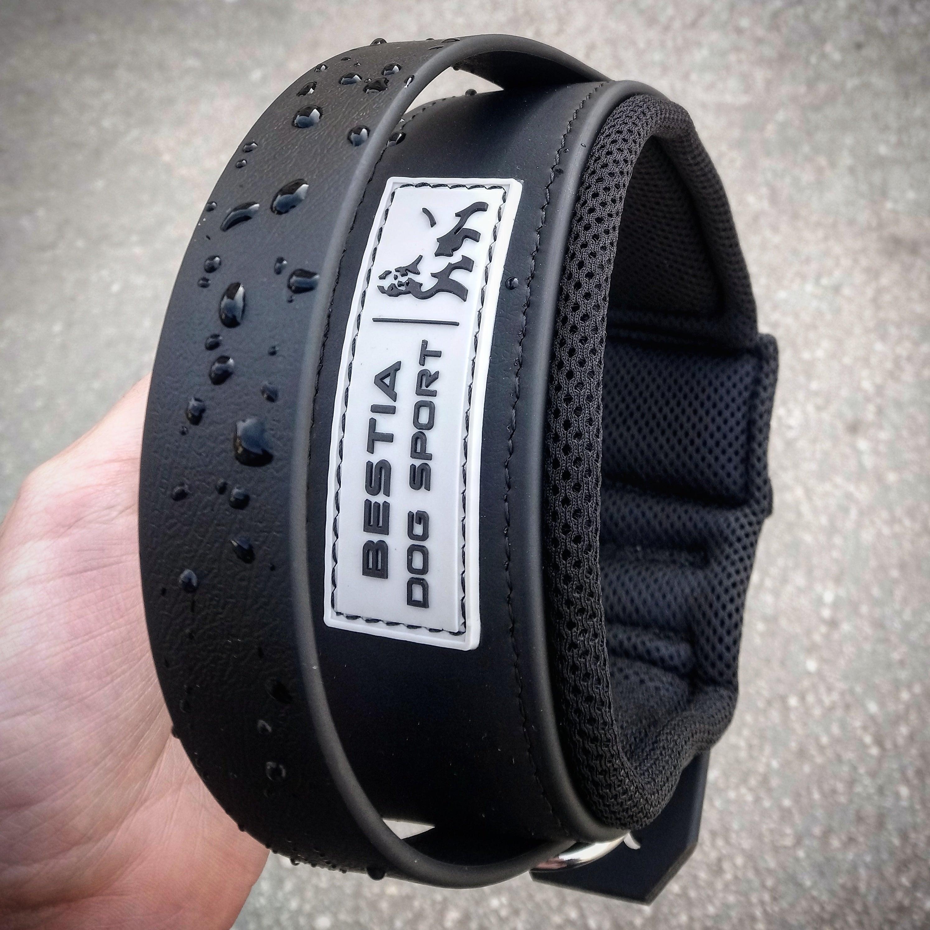 Bestia Dog Gear Stainless Steel Dog Collar 