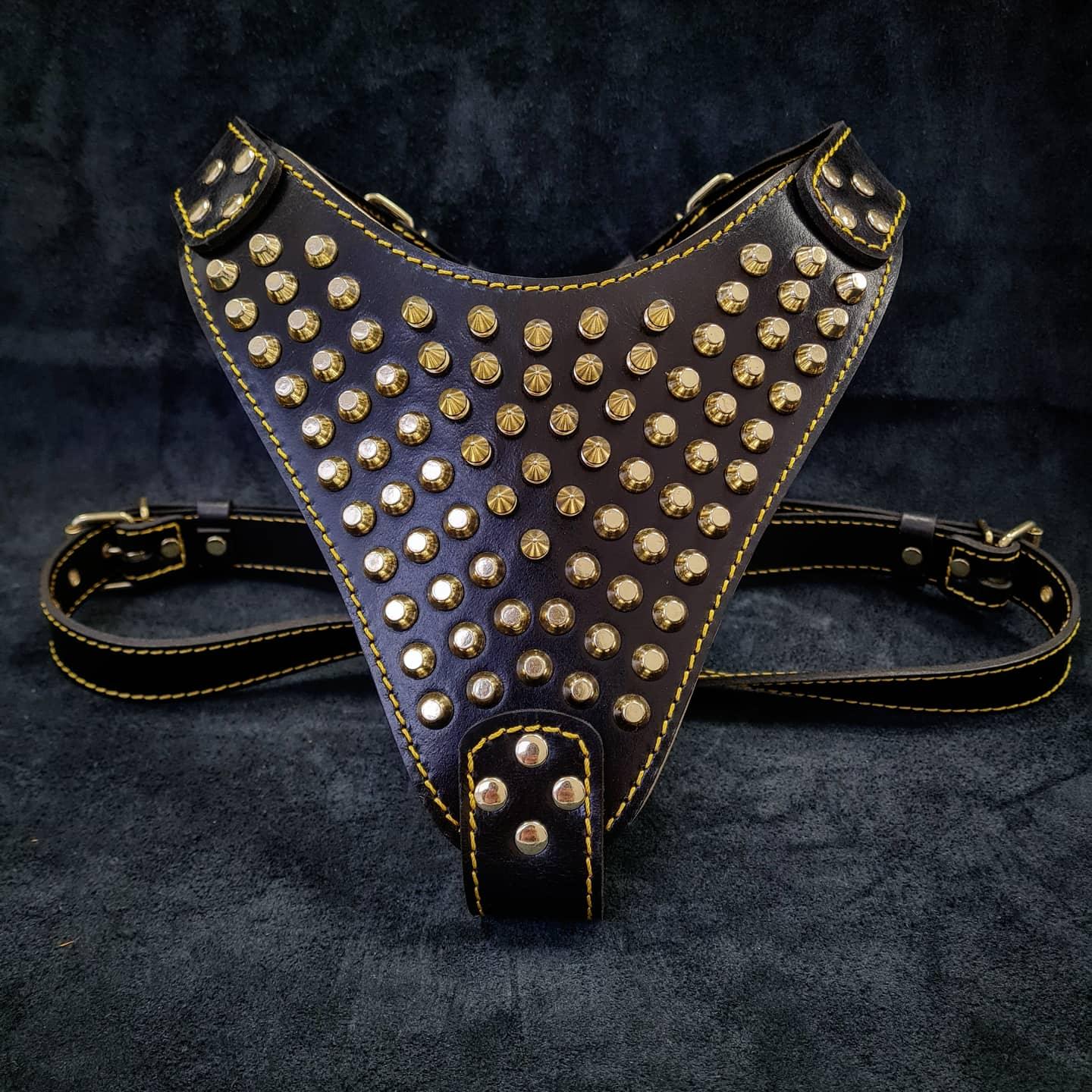 Bestia Dog Gear Genuine Leather Dog Harness - Gold/XXL 