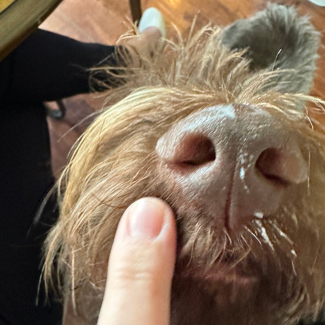 Soothe All Natural Boop Balm - HT Animal Supply