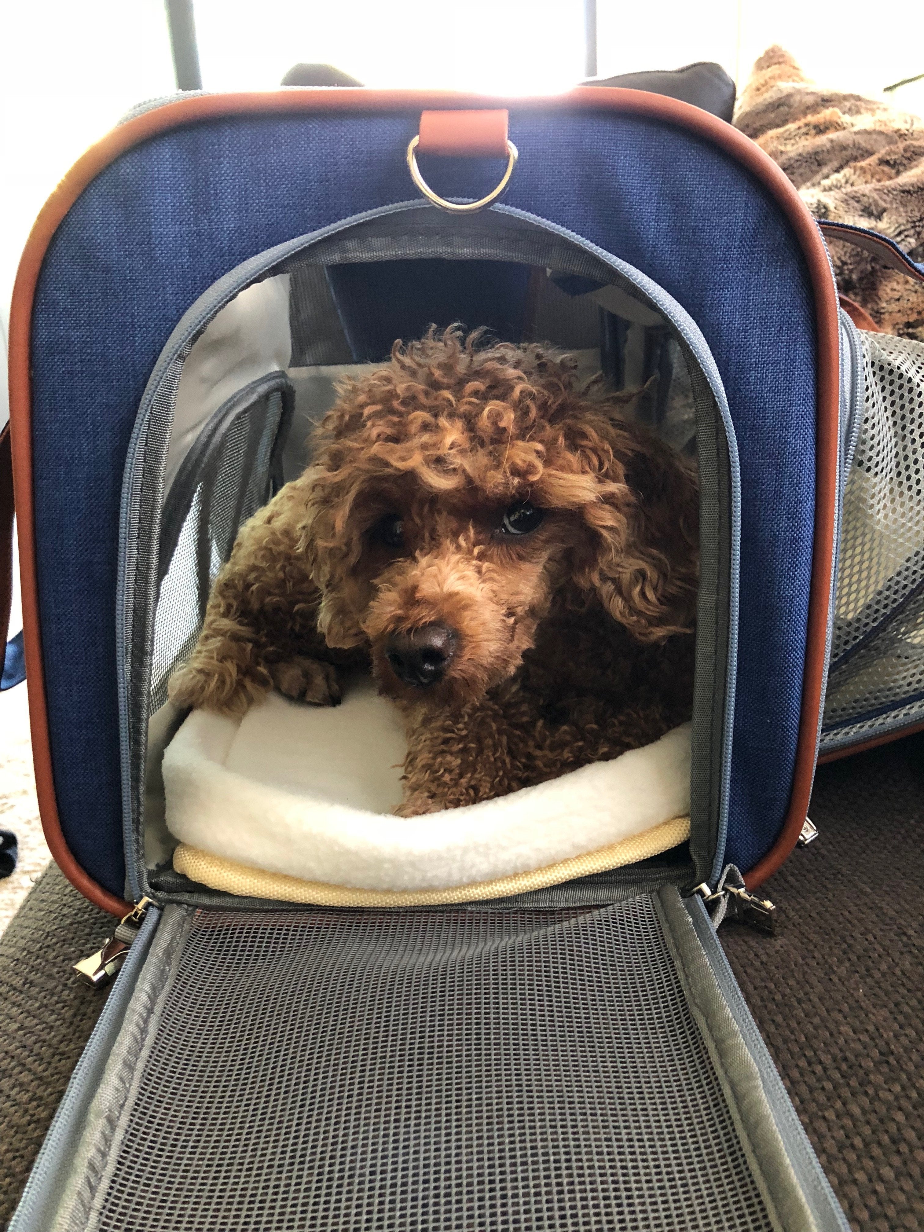 Mr. Peanuts Gold Series Big Apple XL Size Airline Compliant Expandable Pet Carrier