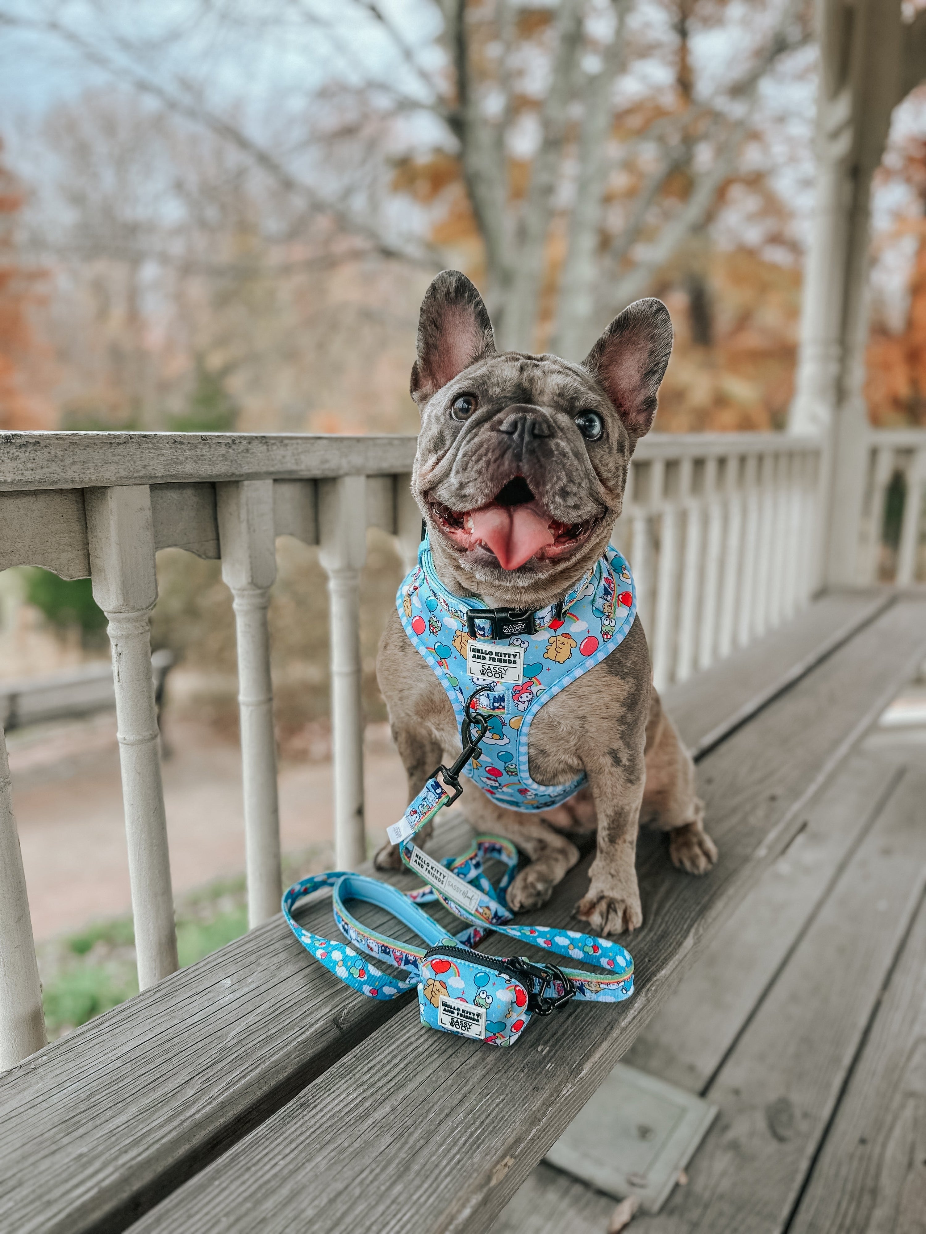 Dog Leash - Hello Kitty® & Friends In the Sky