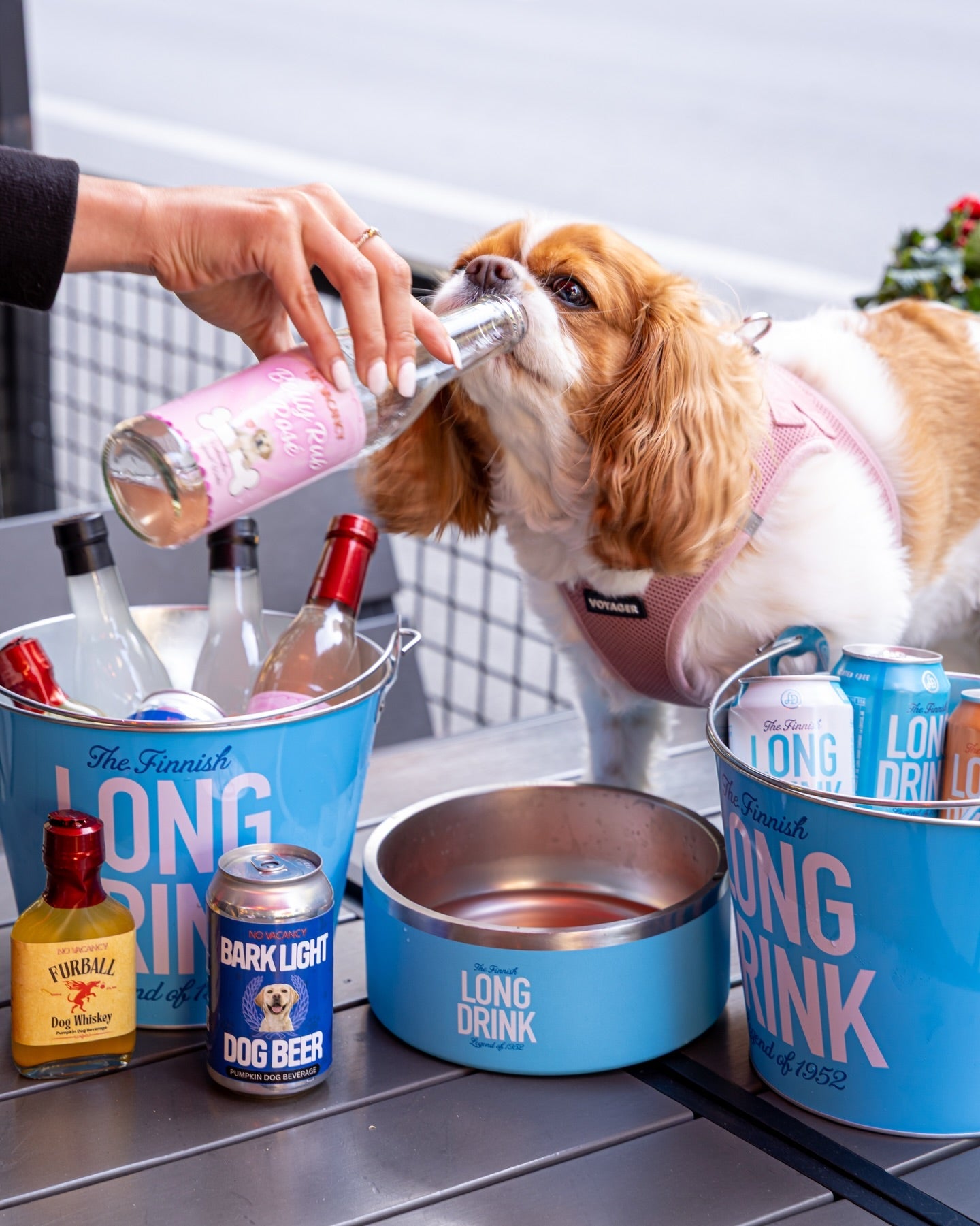 Belly Rub Rose Dog Wine