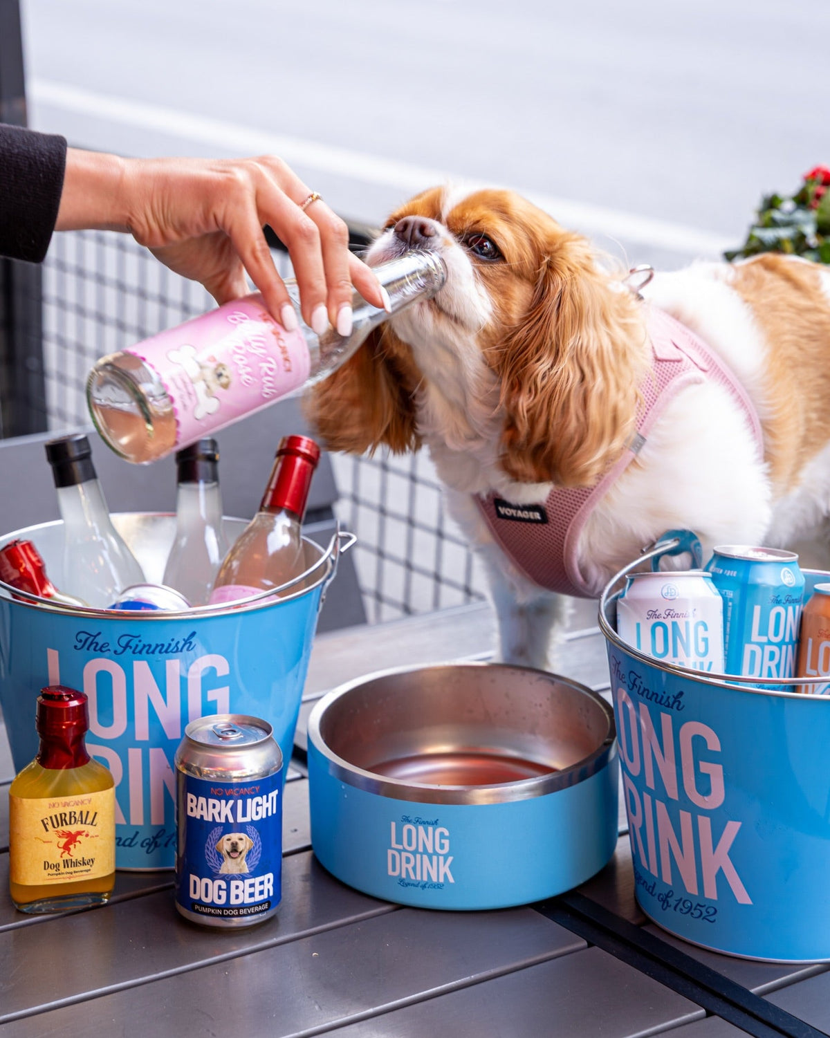 Belly Rub Rose Dog Wine
