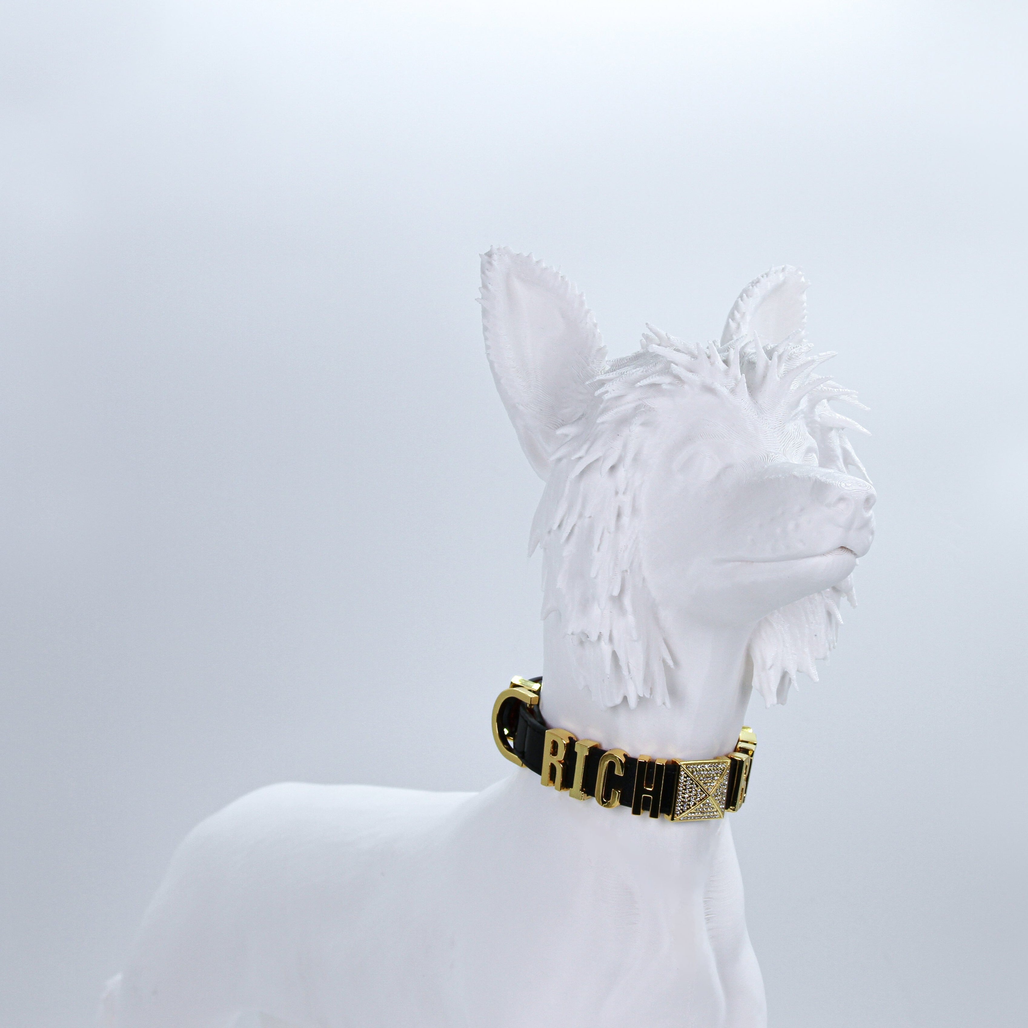 RICH BITCH COLLAR