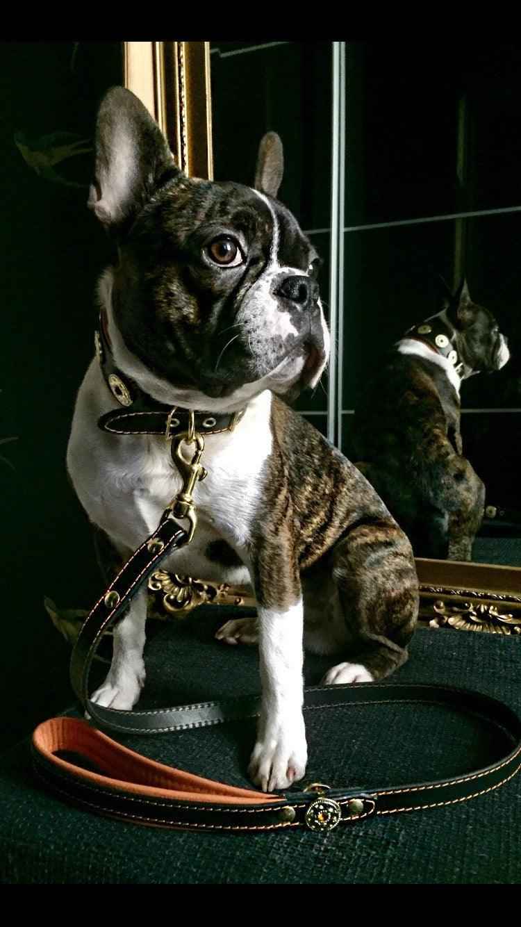 Bestia Bijou Leather Orange Dog Leash
