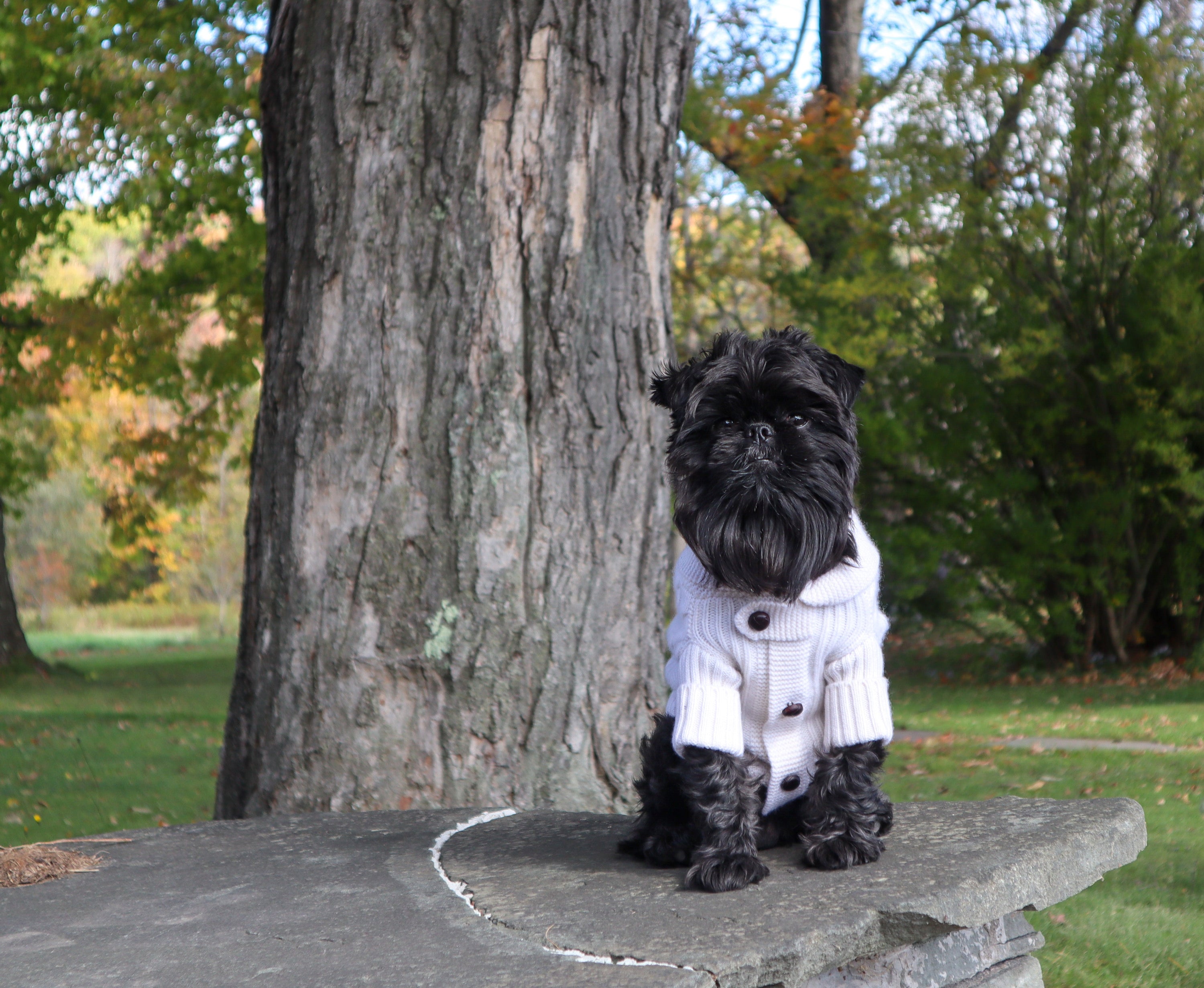 BESPOKE PAWS Brooklyn Cashmere Cardigan - NYC Designer Original Sweaters