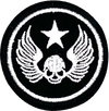 Skull with Wings - Patch