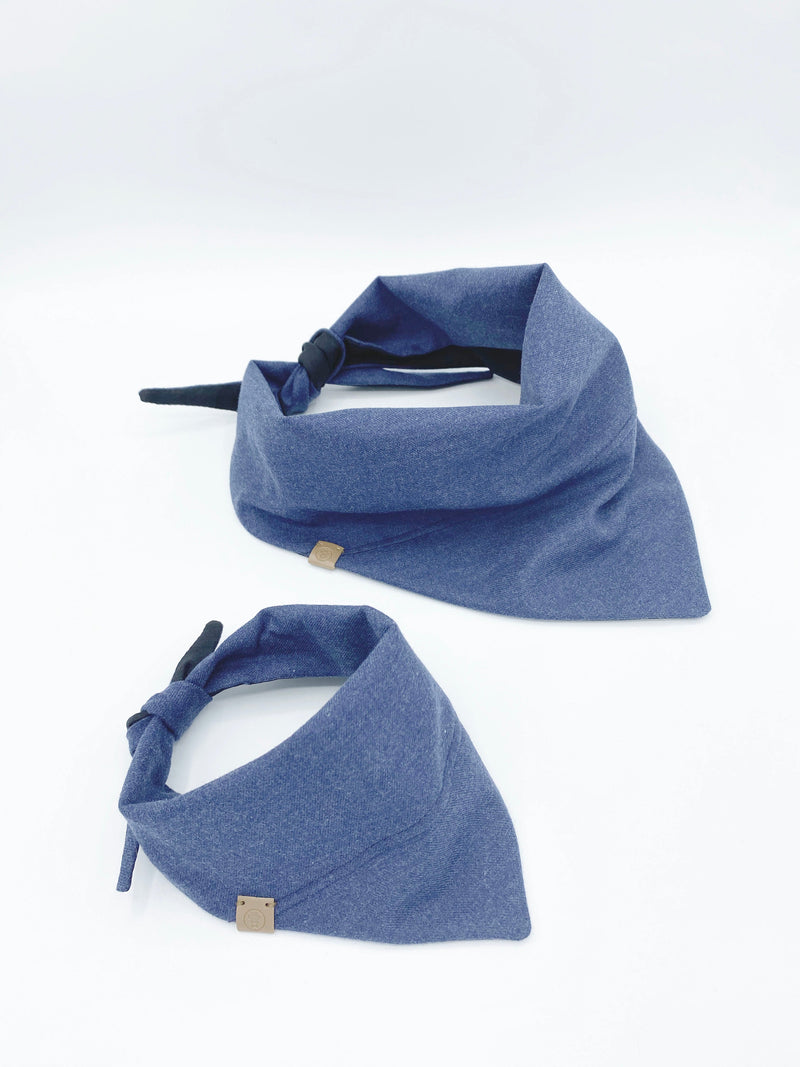 Aiden Reversible Pet Bandana
