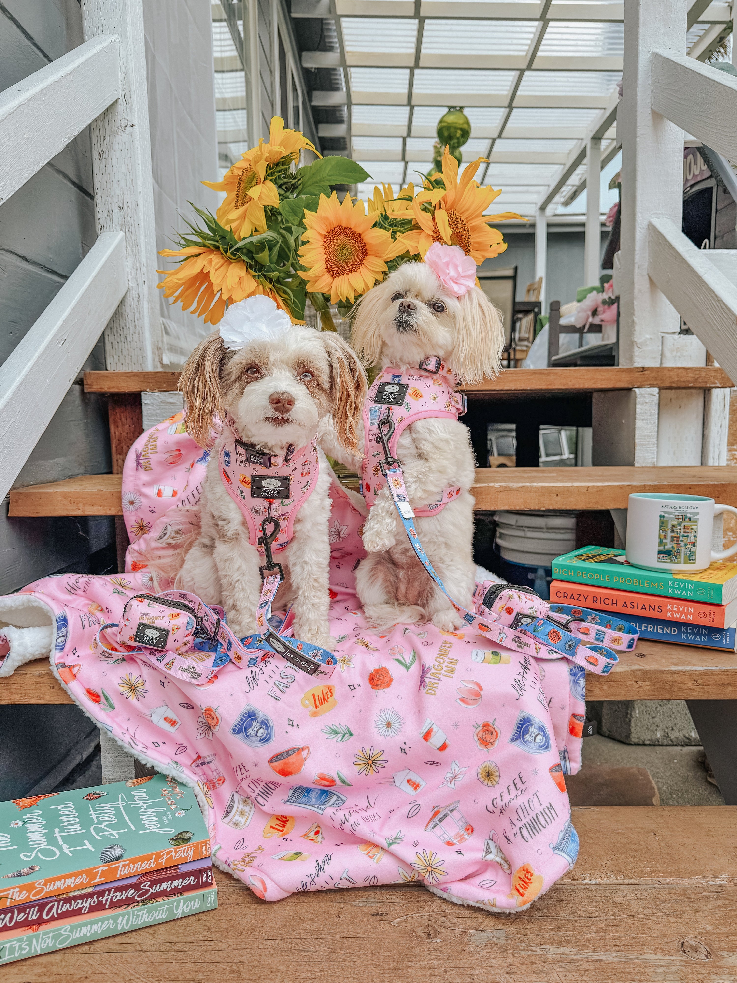 Dog Adjustable Harness - Gilmore Girls™