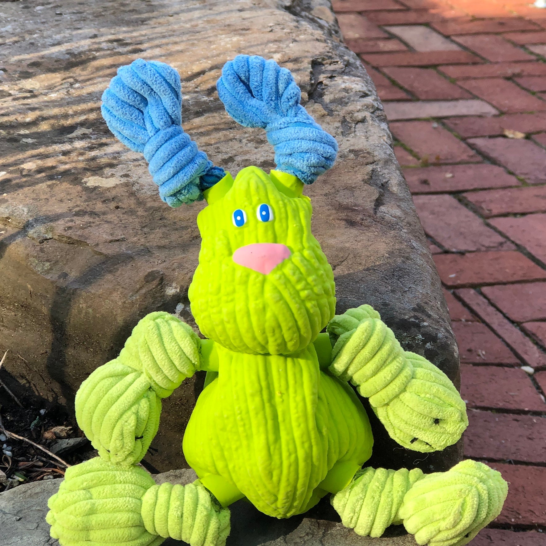 Huggle-Fusion Bugsy Bunny Plush & Latex Dog Toy