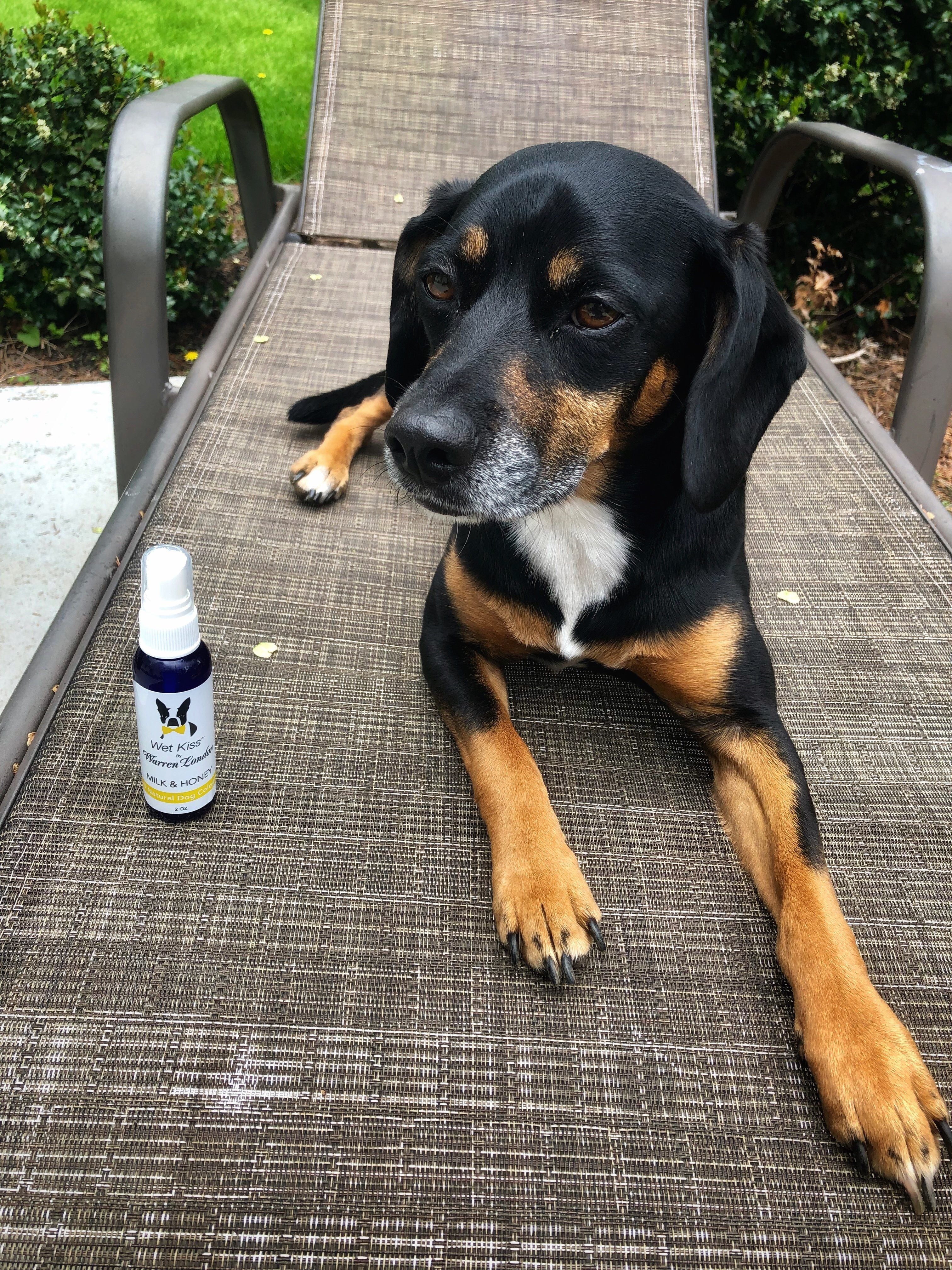 Wet Kiss Dog Cologne By Warren London - 2 Oz or 16 Oz