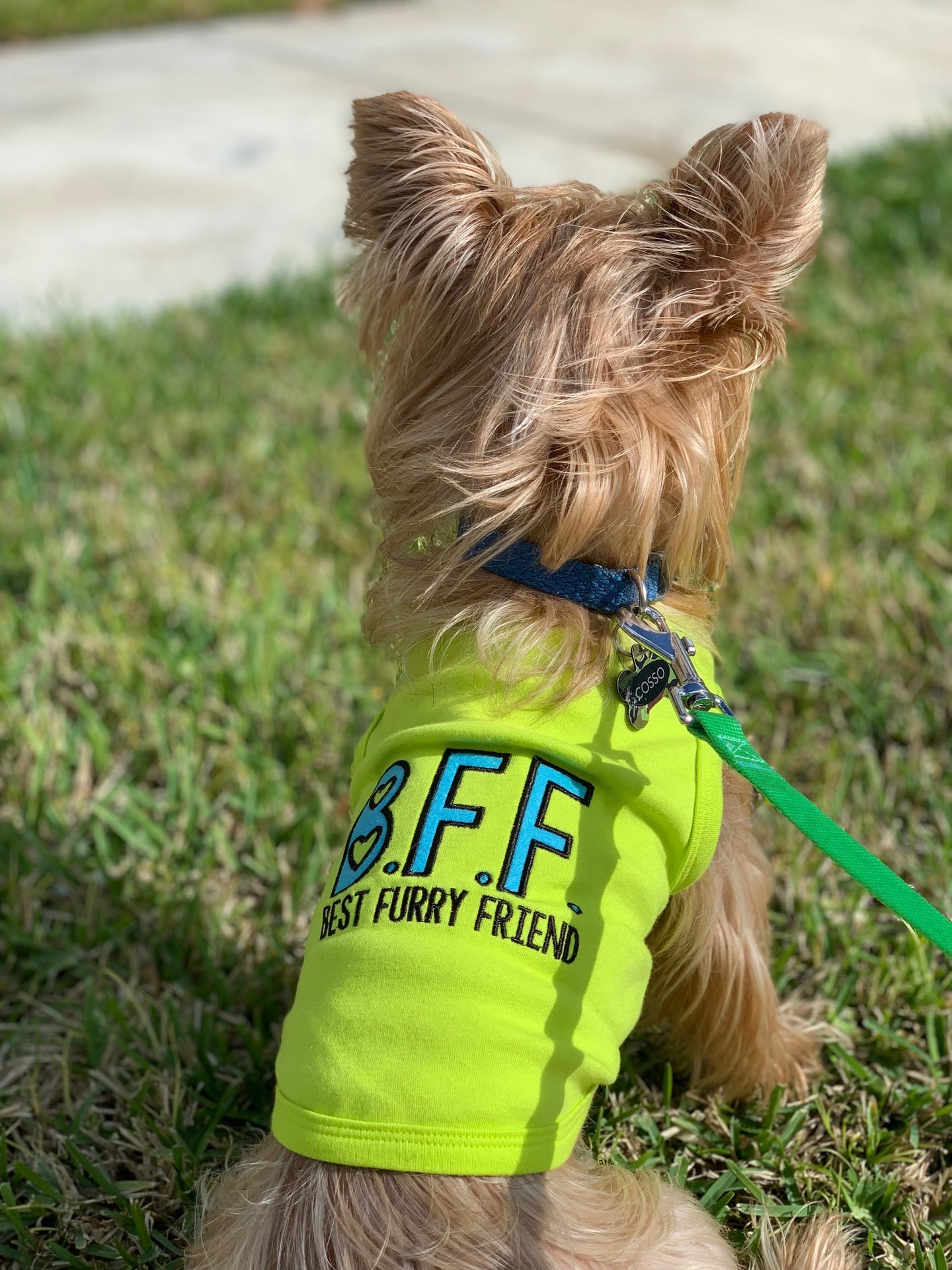 Parisian Pet BFF Comfortable Embroidered Dog T-Shirt