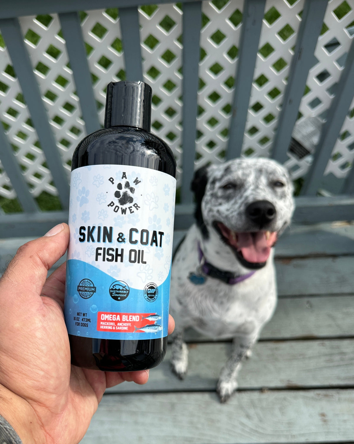 Dawg Health Skin and Coat Omega-3 Fish Oil
