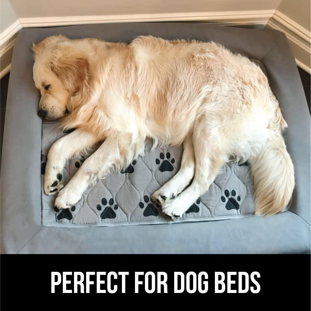 Mr. Peanuts Washable Reusable Pee Pads - Set of 3 - Thermal Waterproof and Leakproof Pet Carrier Comfort Mat - Available in 2 Sizes