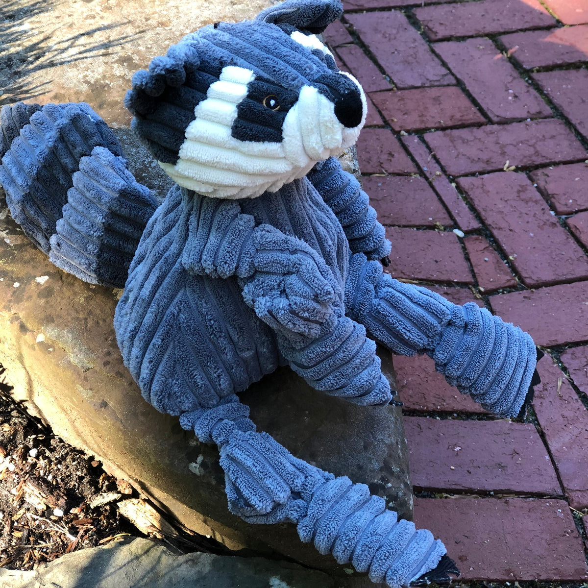 Reggie Raccoon Knottie Plush Dog Toy