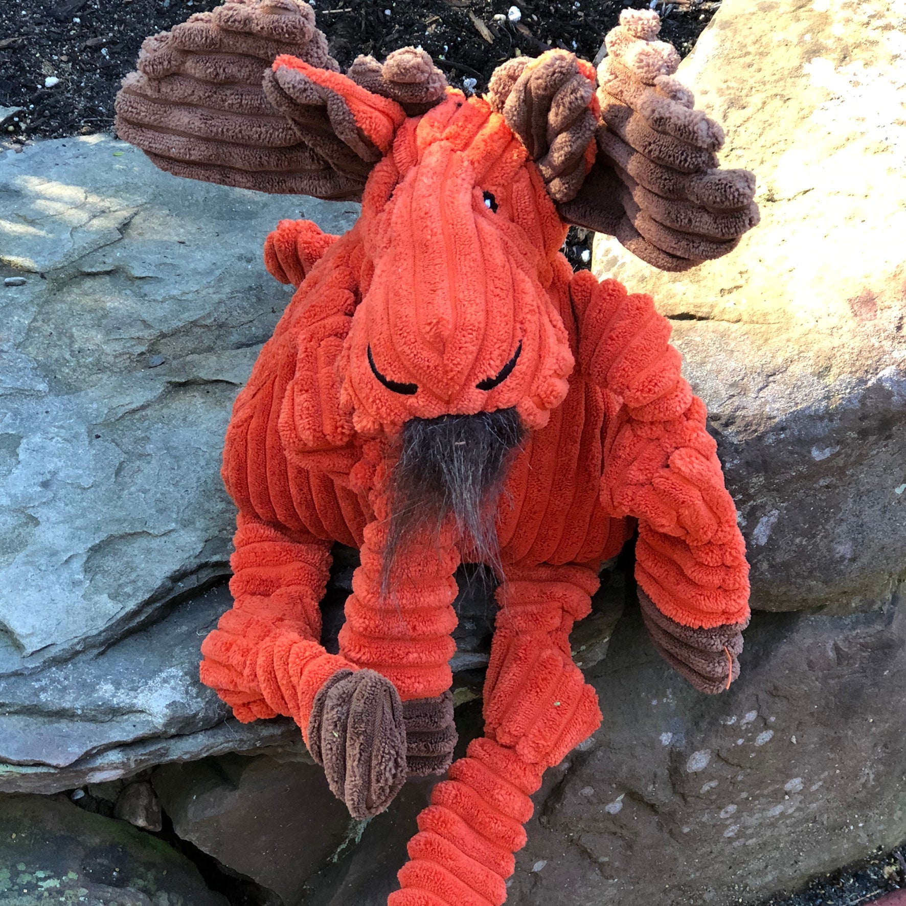 Morris Moose Knottie Plush Dog Toy