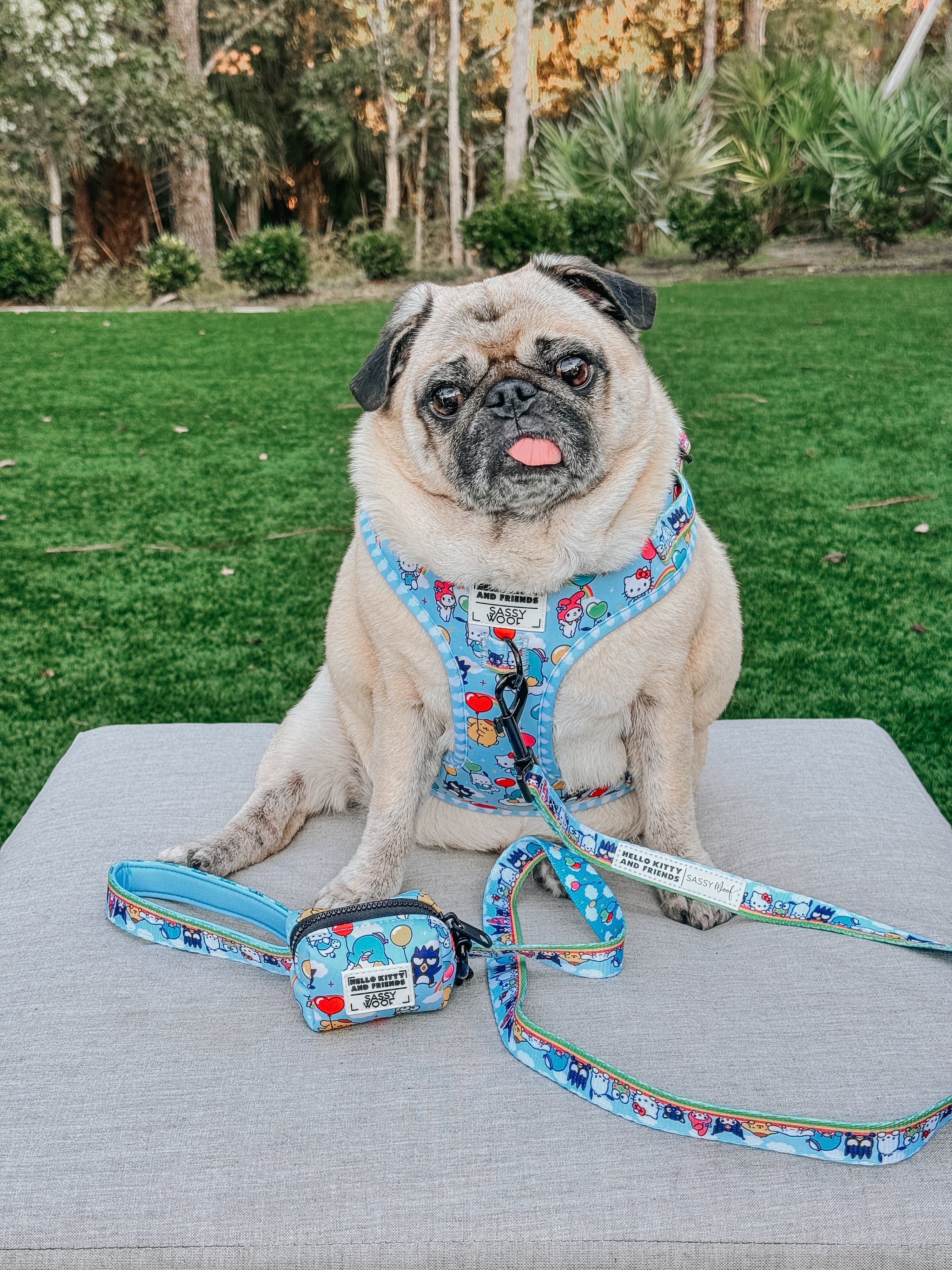 Dog Adjustable Harness - Hello Kitty® & Friends In the Sky