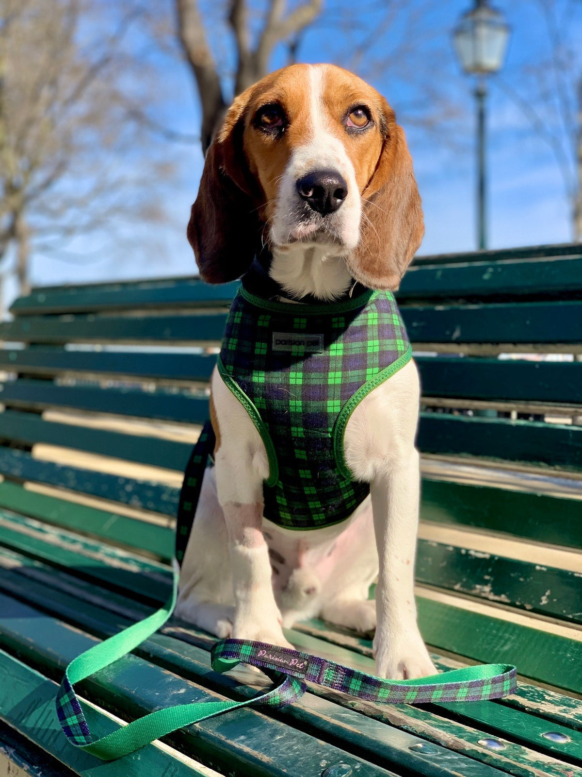 Parisian Pet Freedom Harness Scottish-Green & Blue
