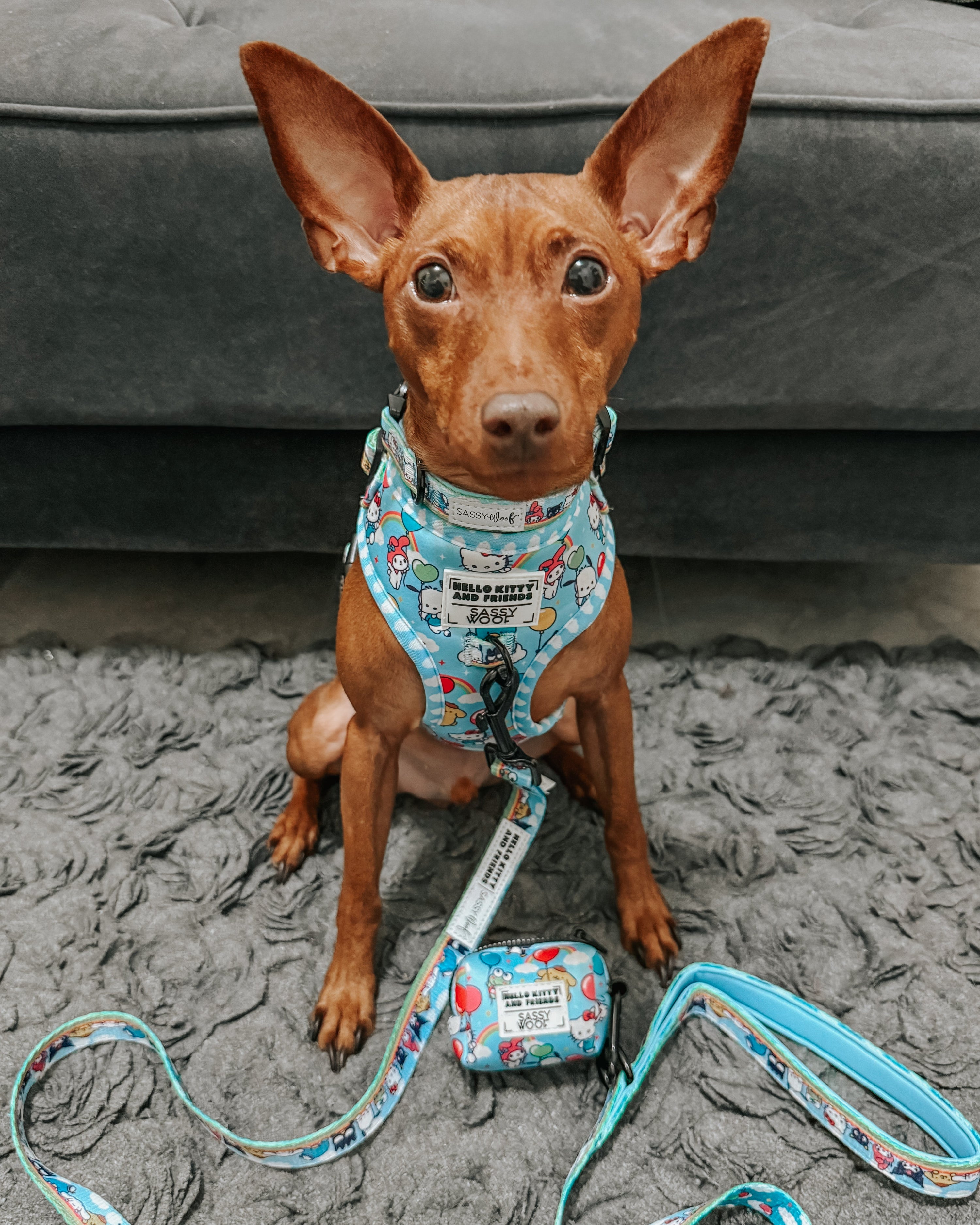 Dog Leash - Hello Kitty® & Friends In the Sky