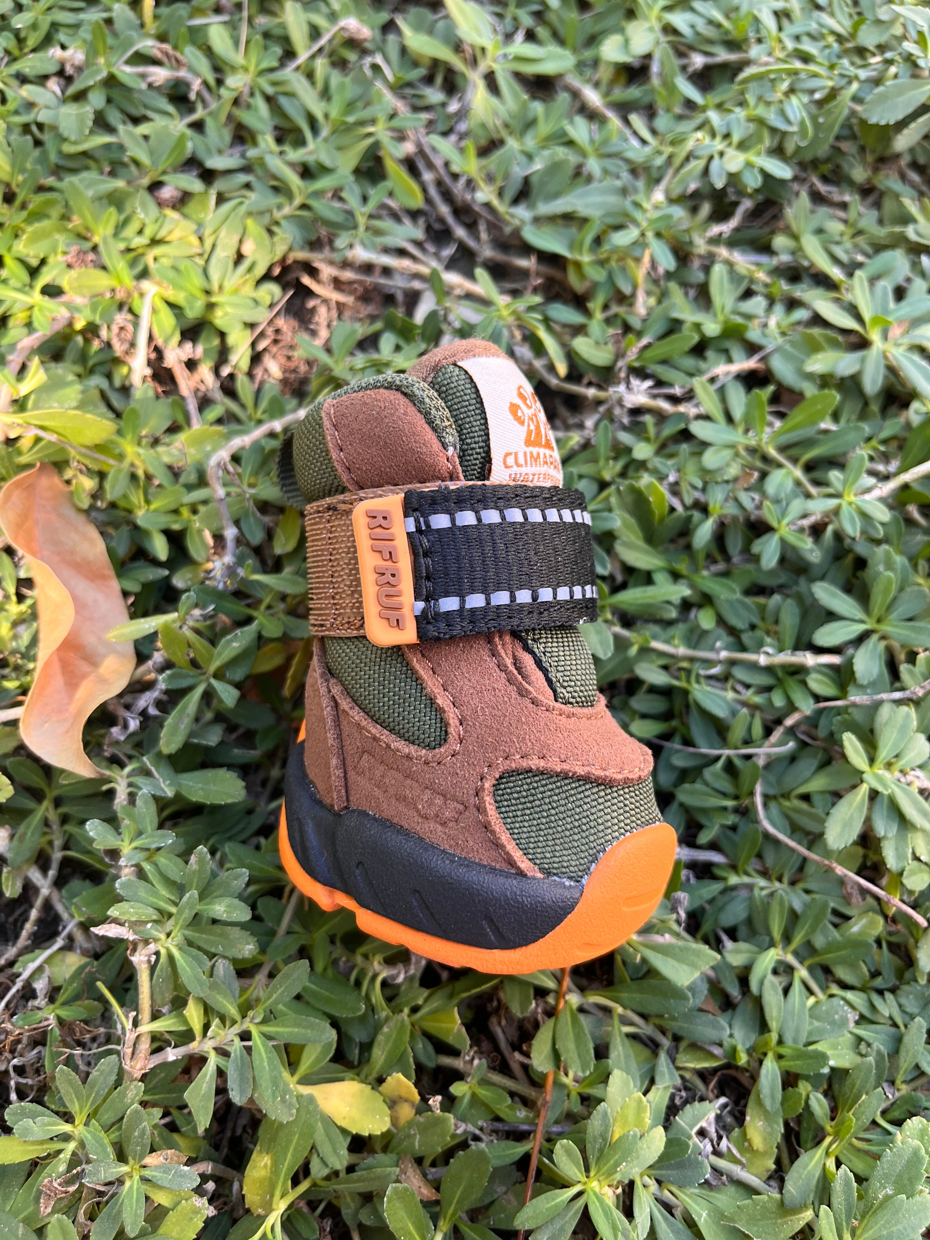 RIFRUF Apollo 1 Waterproof Dog Boots Truffle
