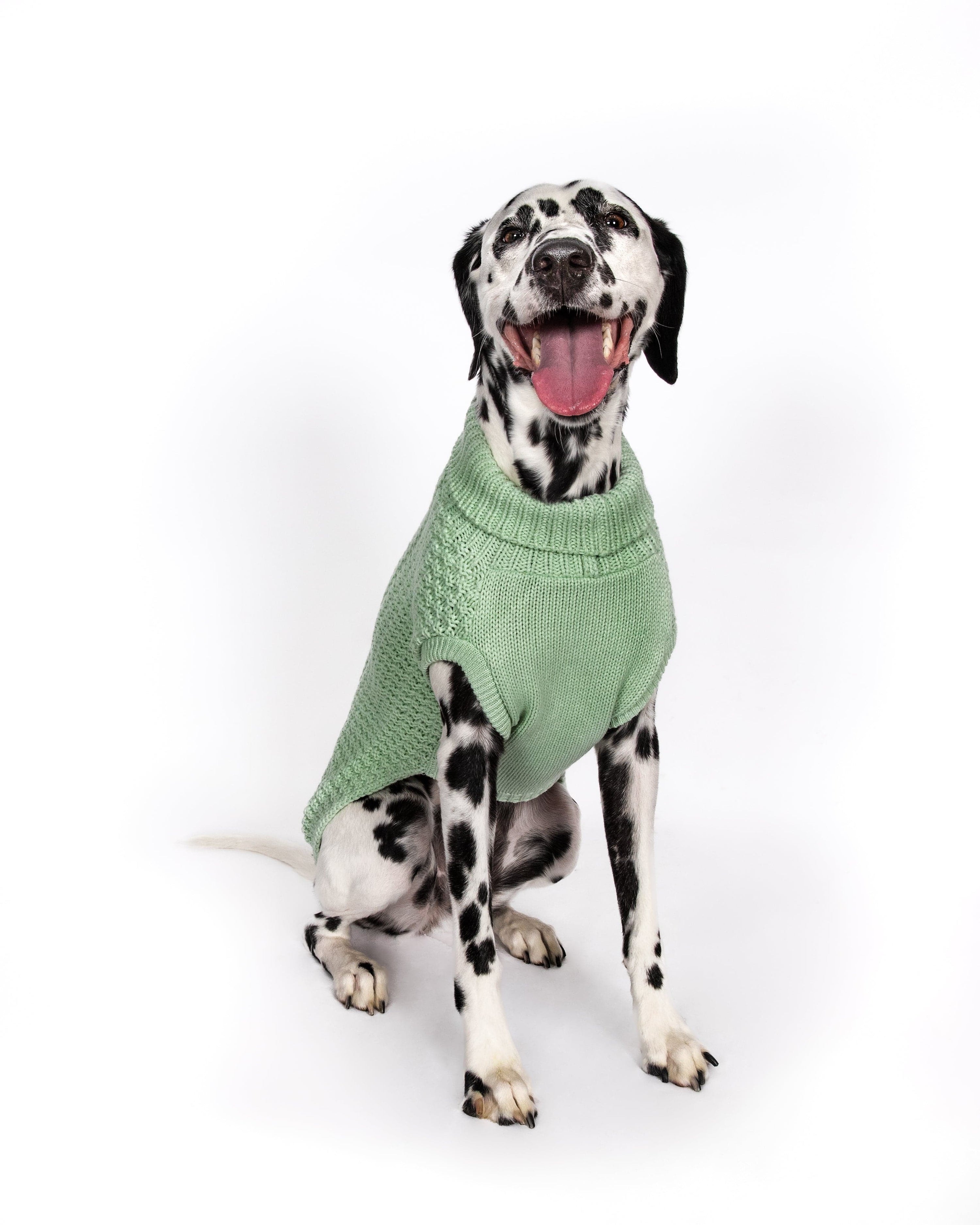 Mint Super Chunky Sweater 