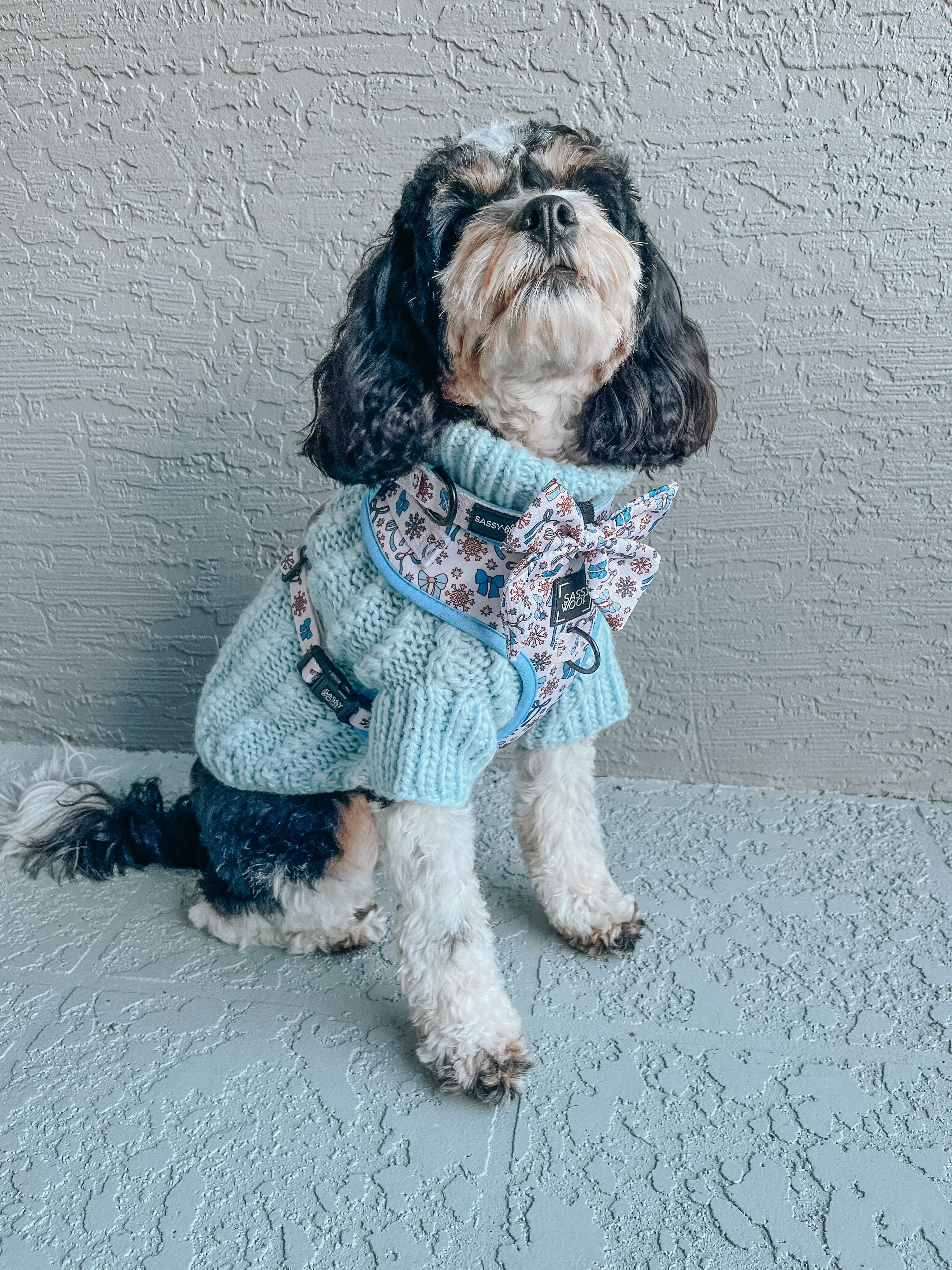Dog Collar - Let it Bow