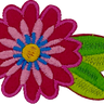 Fuchsia Daisy - Patch