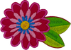 Fuchsia Daisy - Patch