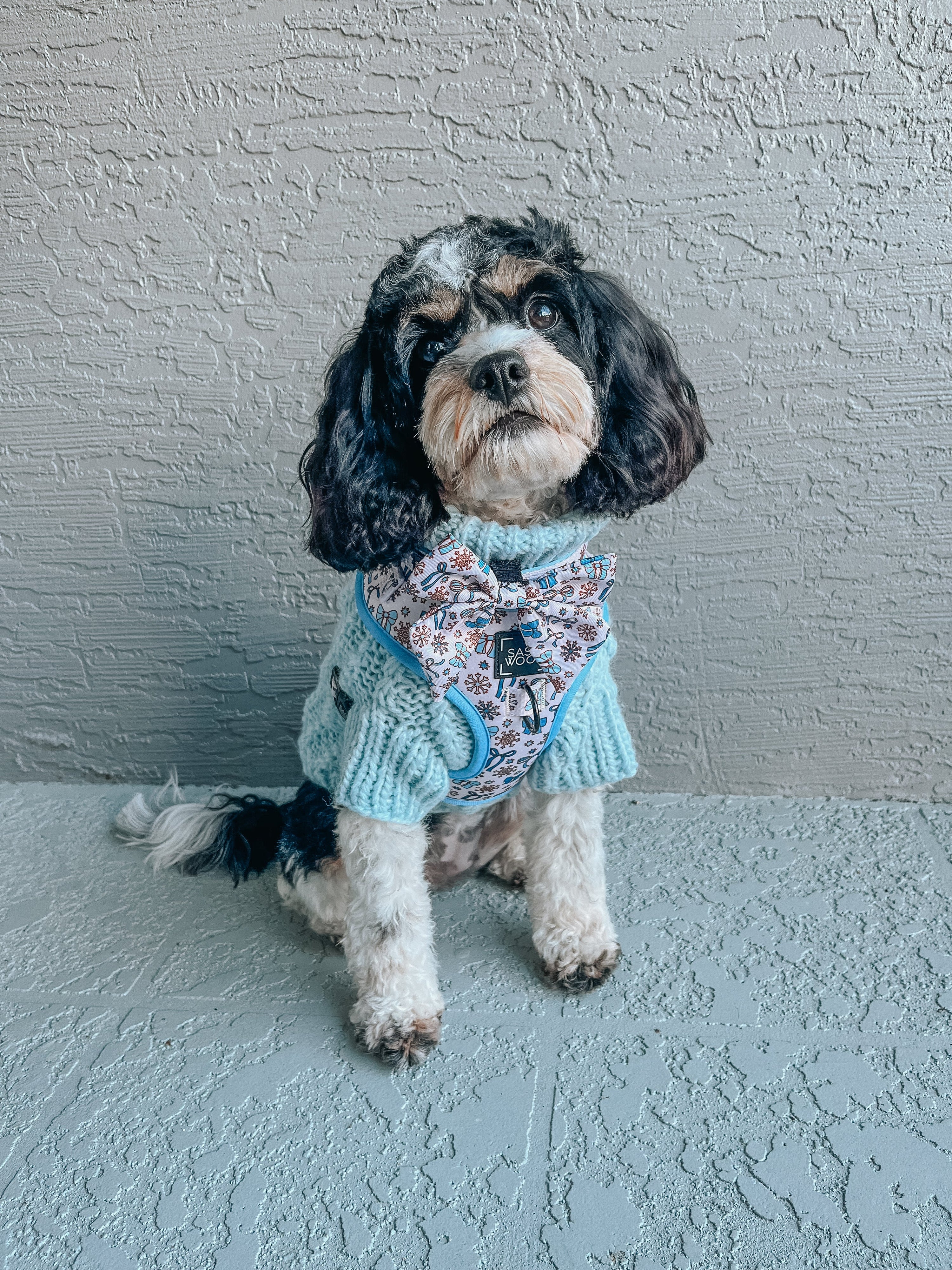 Dog Adjustable Harness - Let it Bow