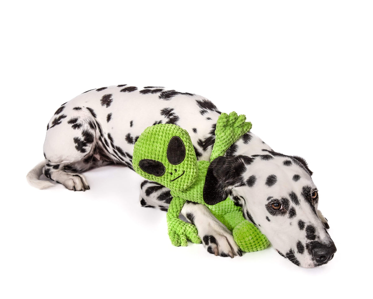 Floppy Alien 