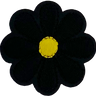 Black Daisy 8 Petal Flower - Patch