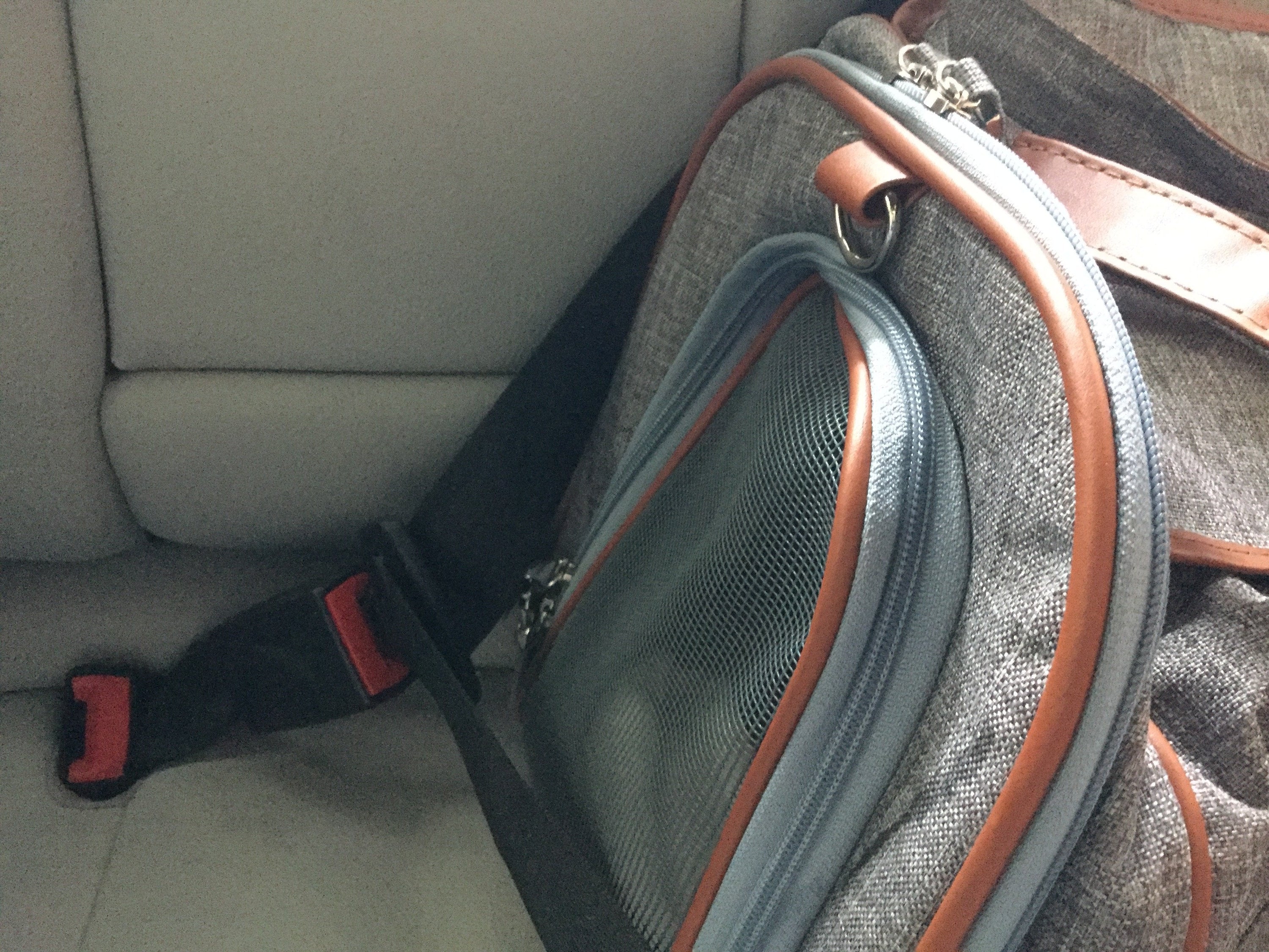 Mr. Peanuts Gold Series Standard Size Airline Compliant Pet Carrier