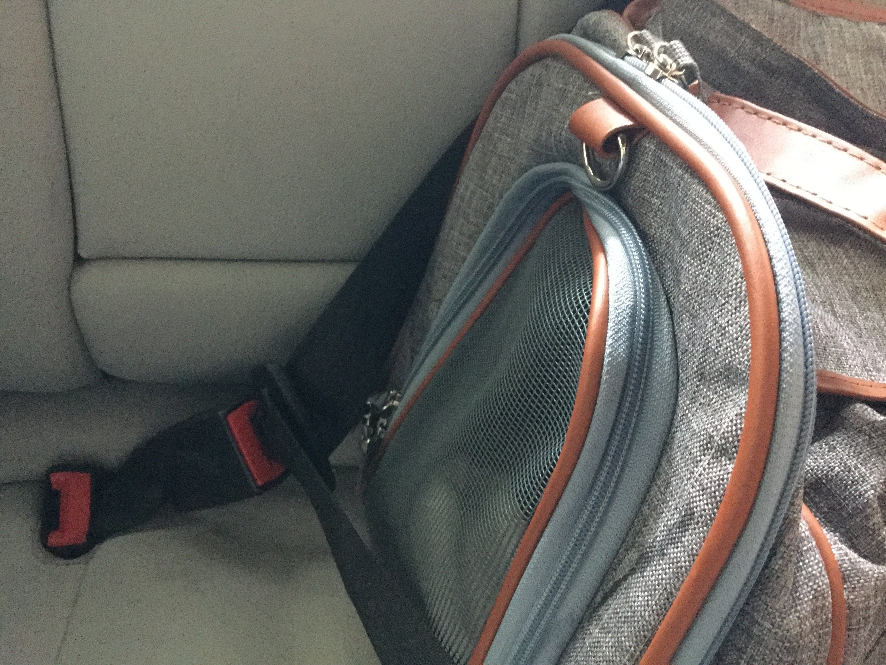 Mr. Peanuts Gold Series Big Apple XL Size Airline Compliant Expandable Pet Carrier